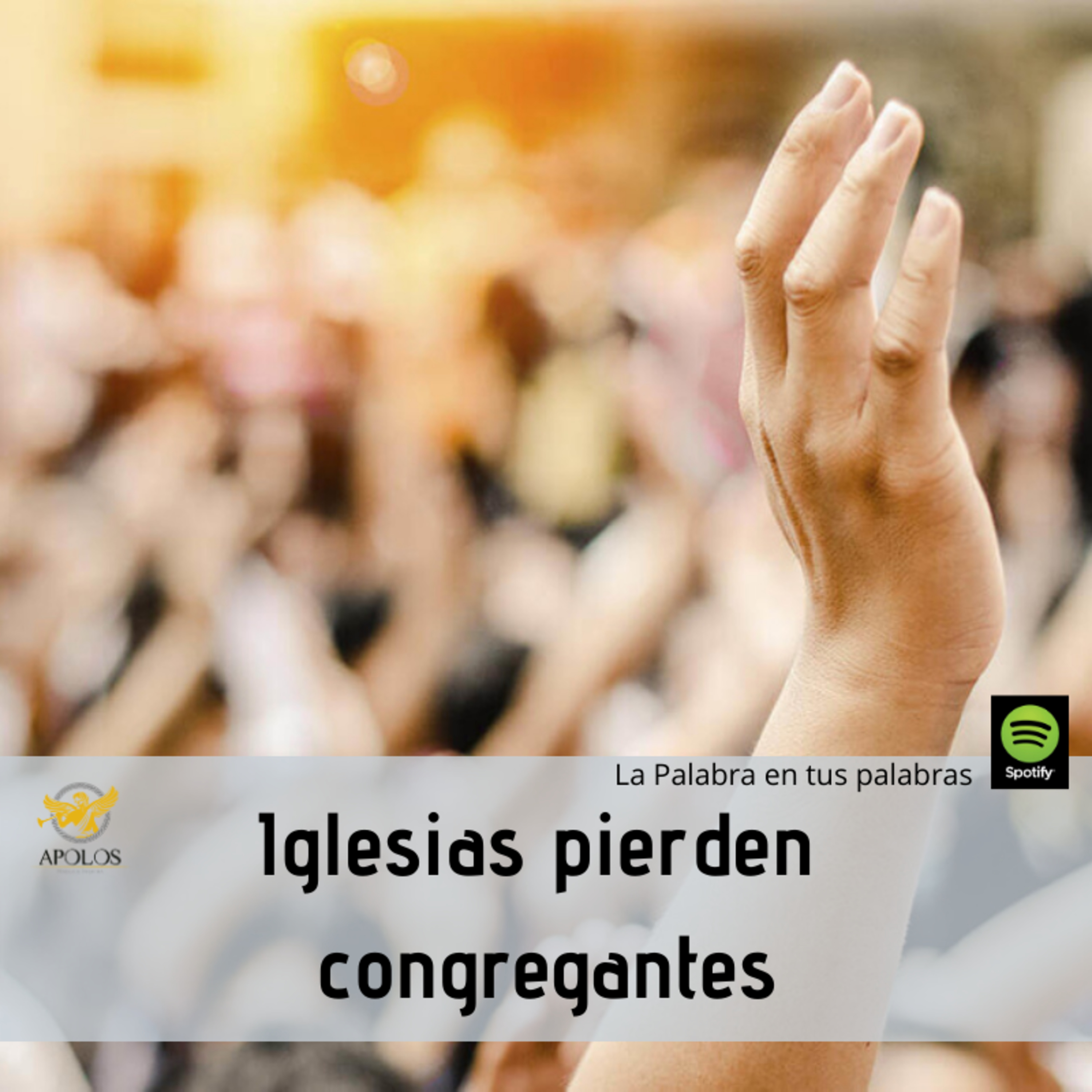 La Palabra, en tus palabras.
