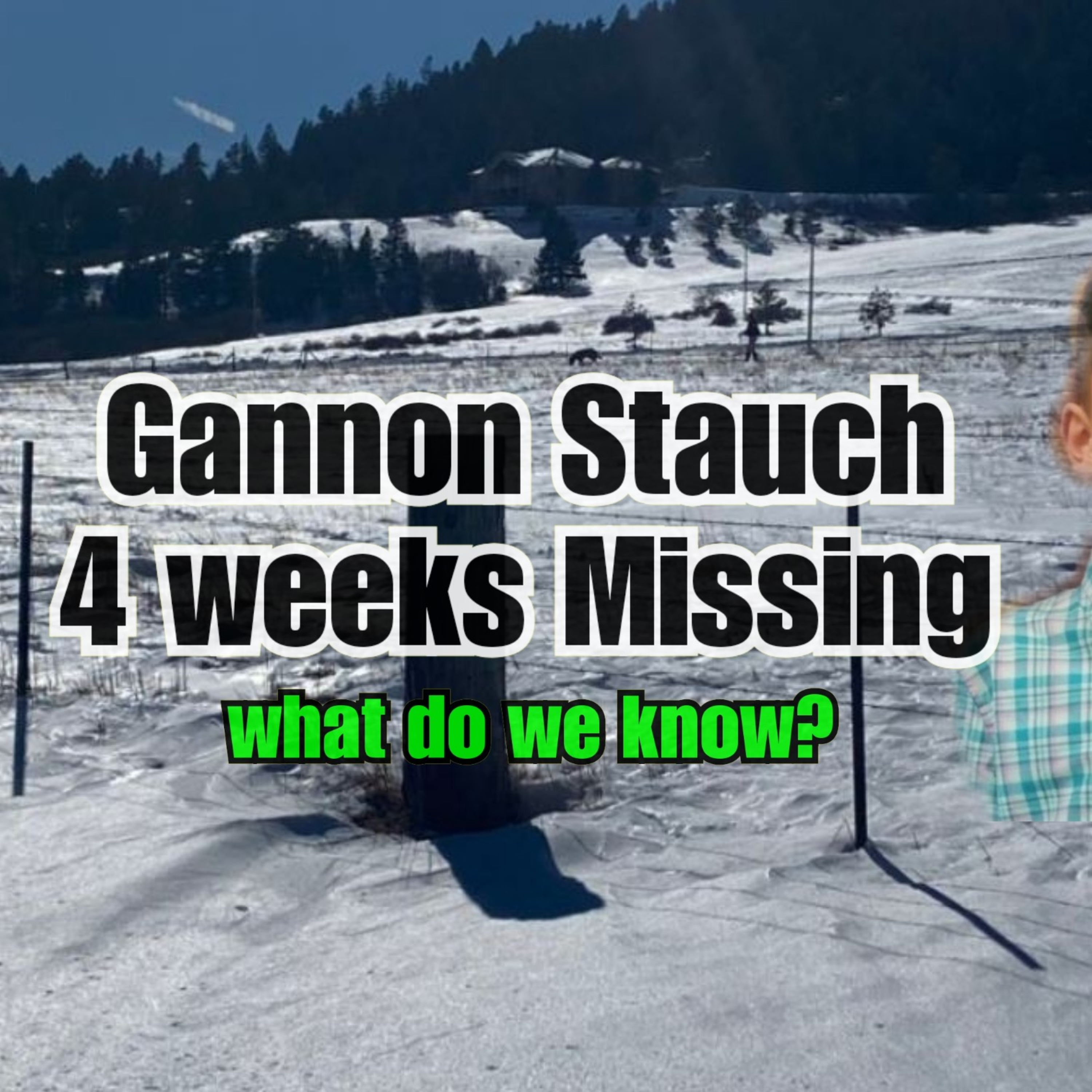 Gannon: 4 weeks Missing episode artwork