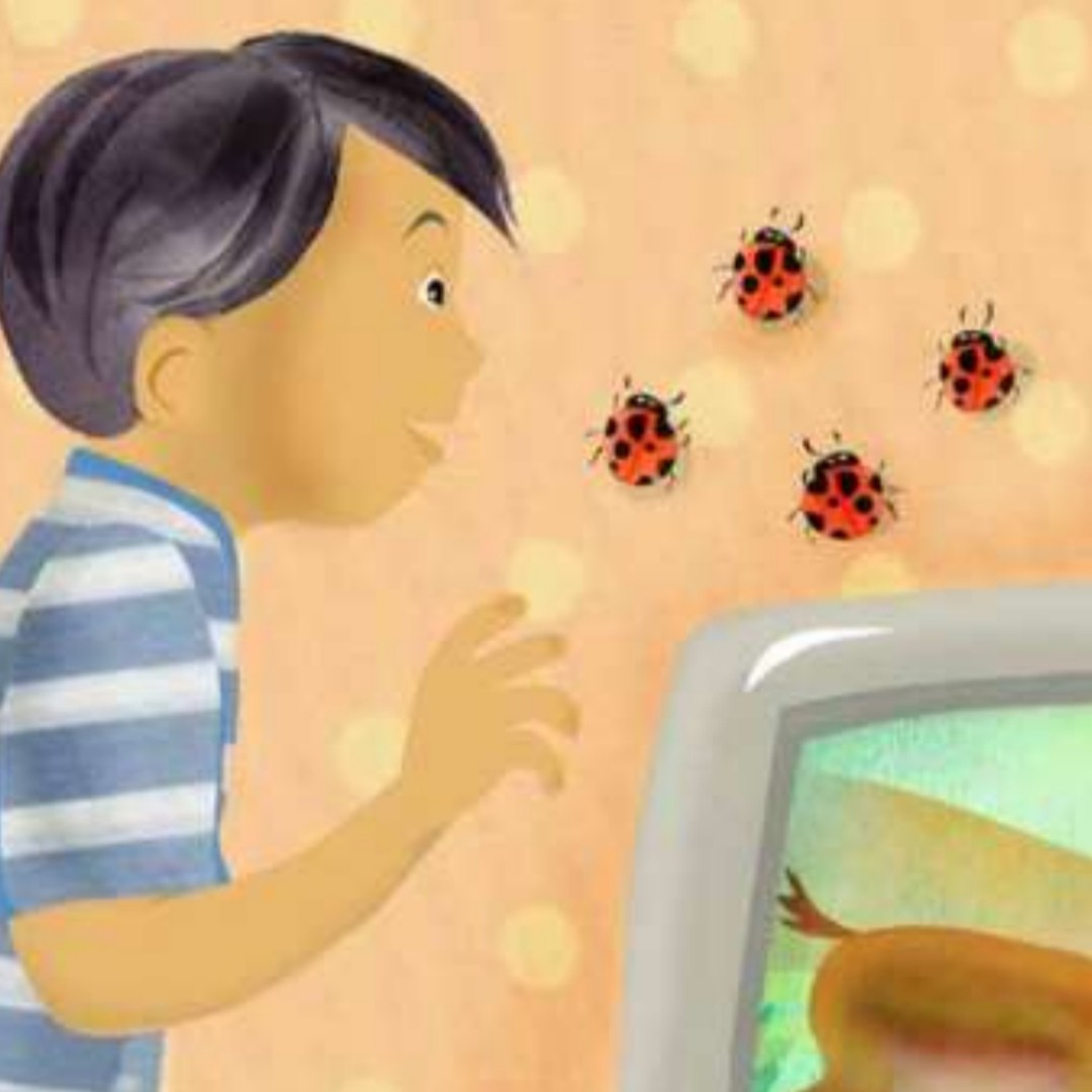 Ladybugs | کفش‌دوزک‌ها episode artwork