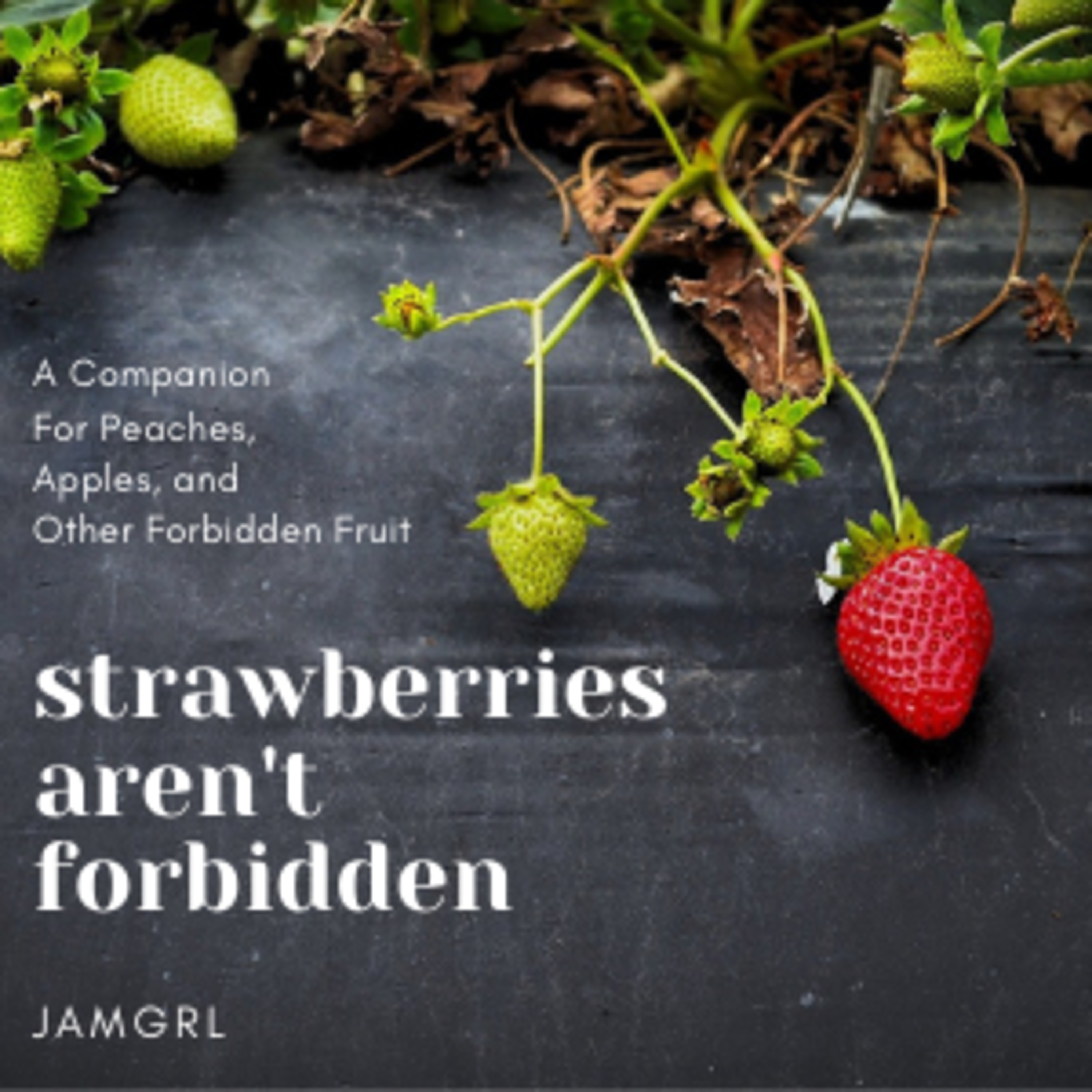 Jamgrl Podfic