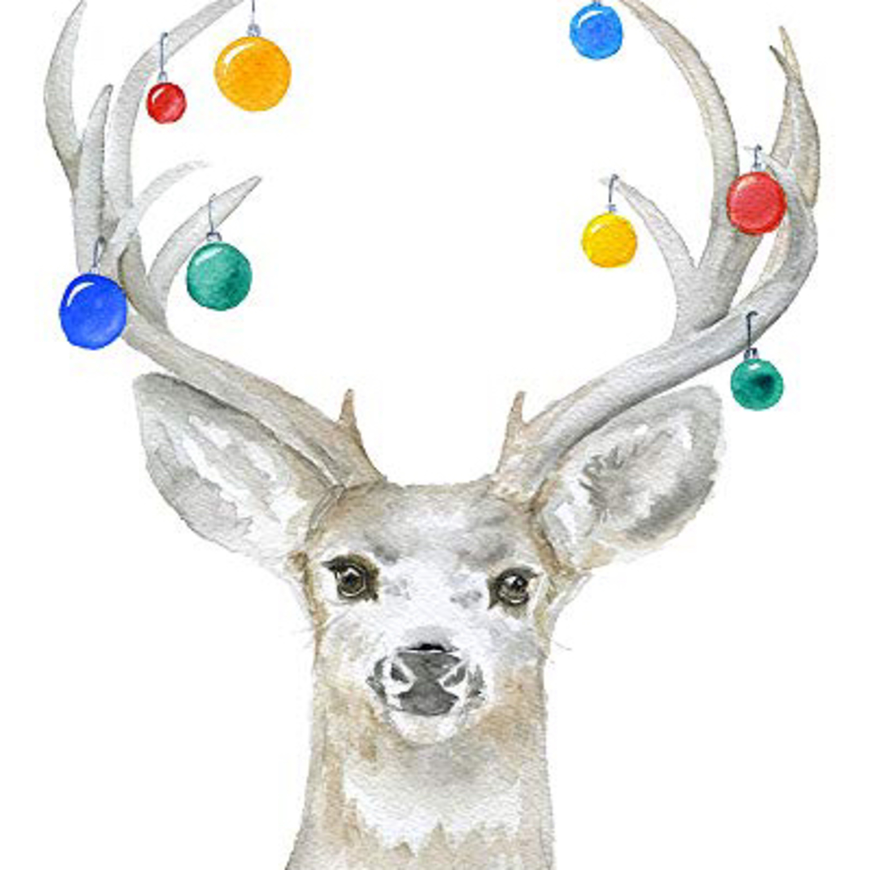 Christmas Special - Reindeer