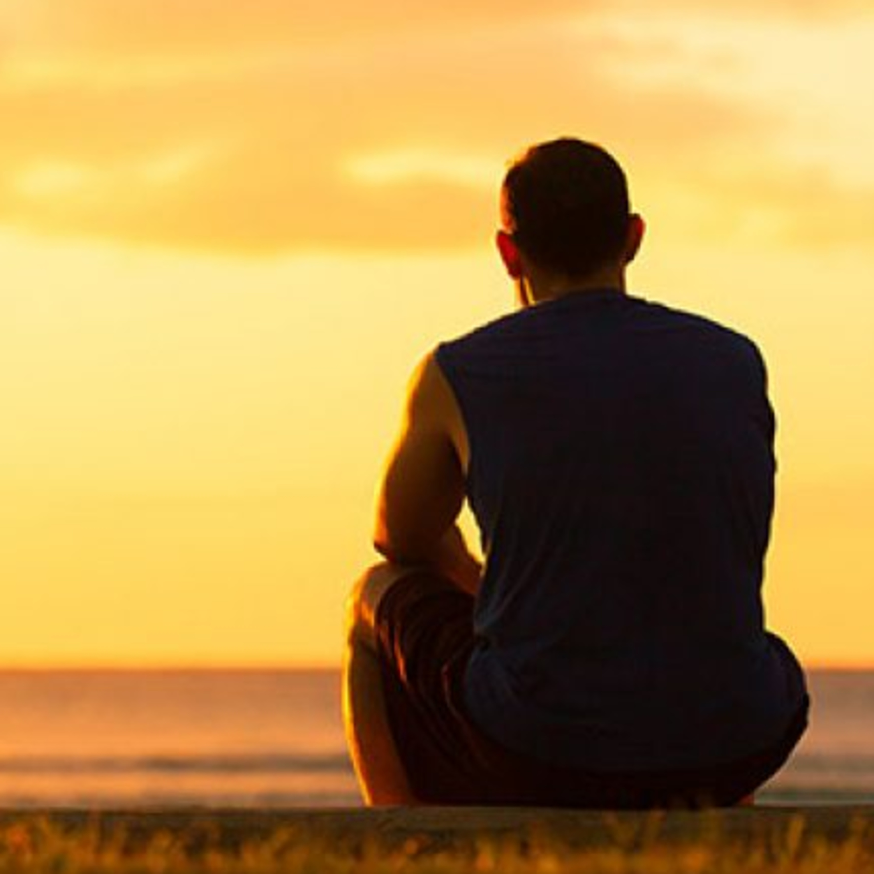 Dharma para Tod@s