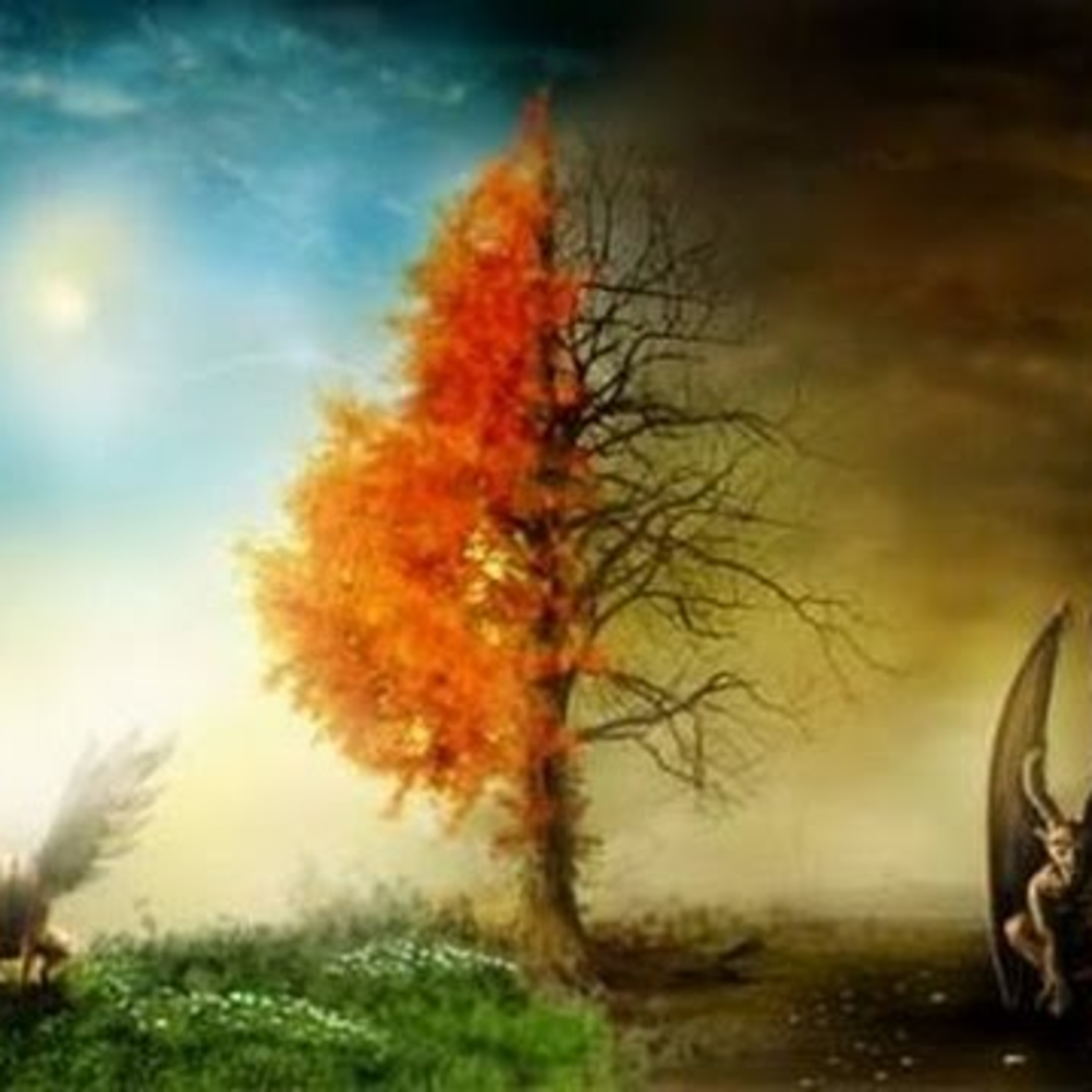 Dharma para Tod@s