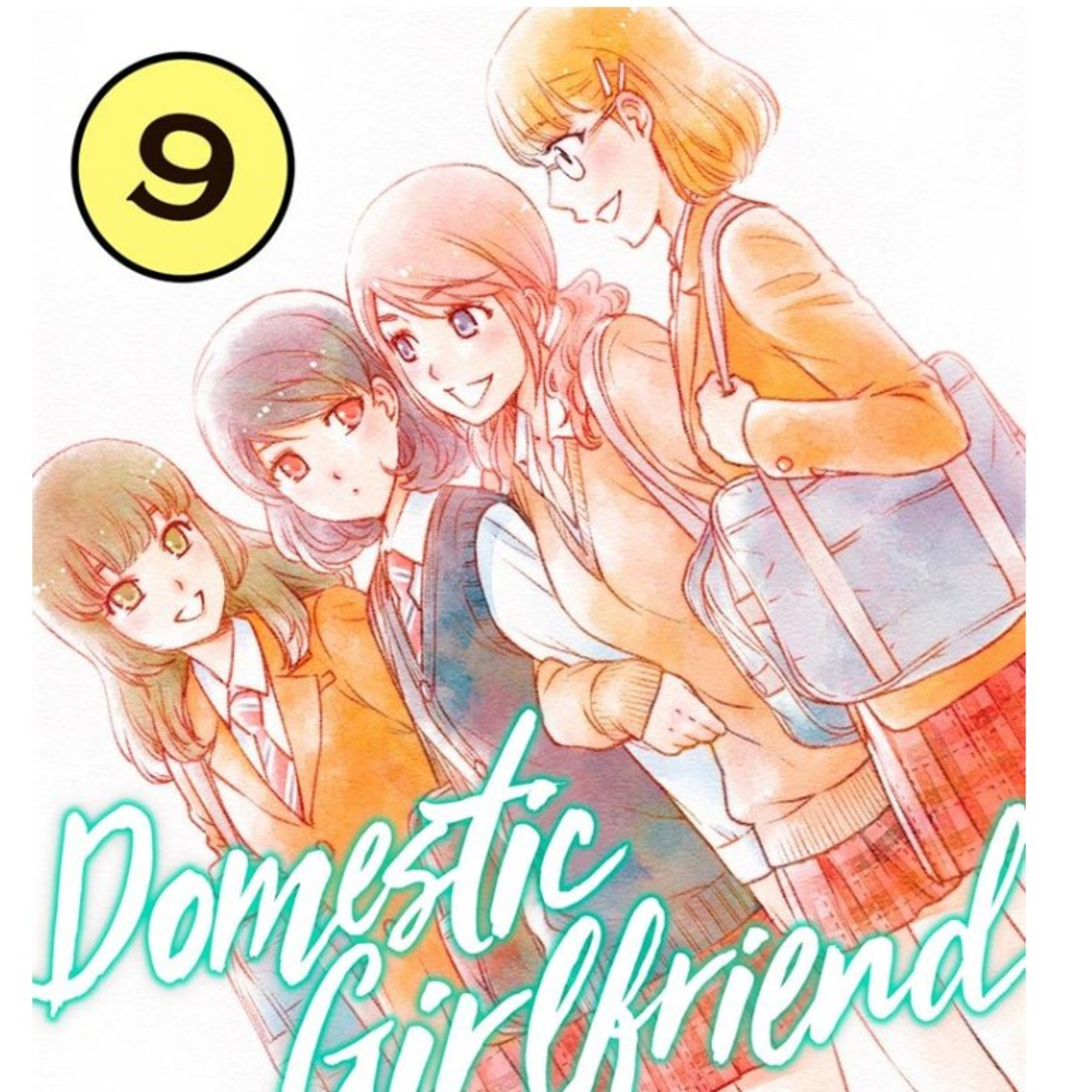 Domestic Girlfriend español Volumen 9 Delirante Otaku analiza