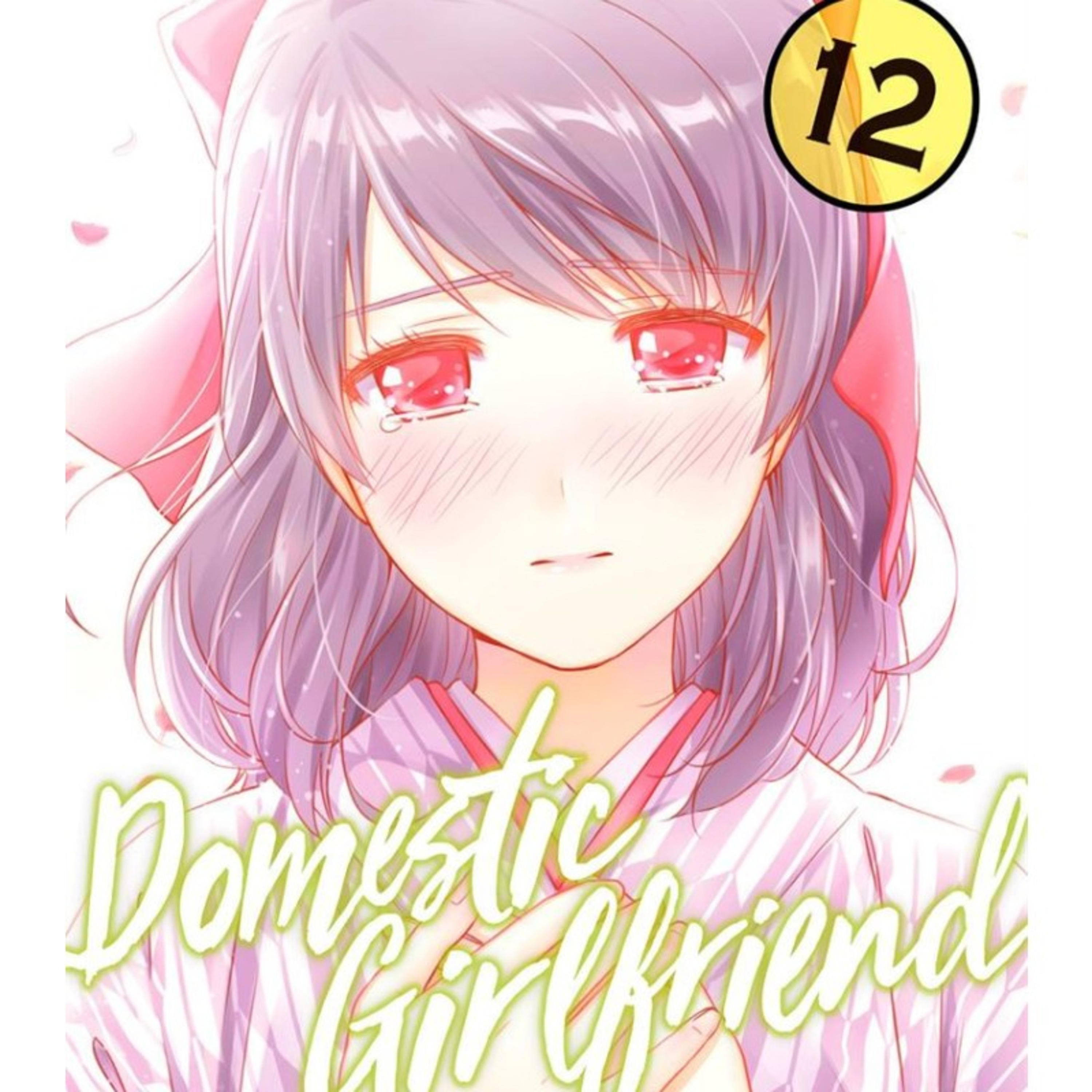 Domestic Girlfriend Volumen12 español Delirante Otaku resume