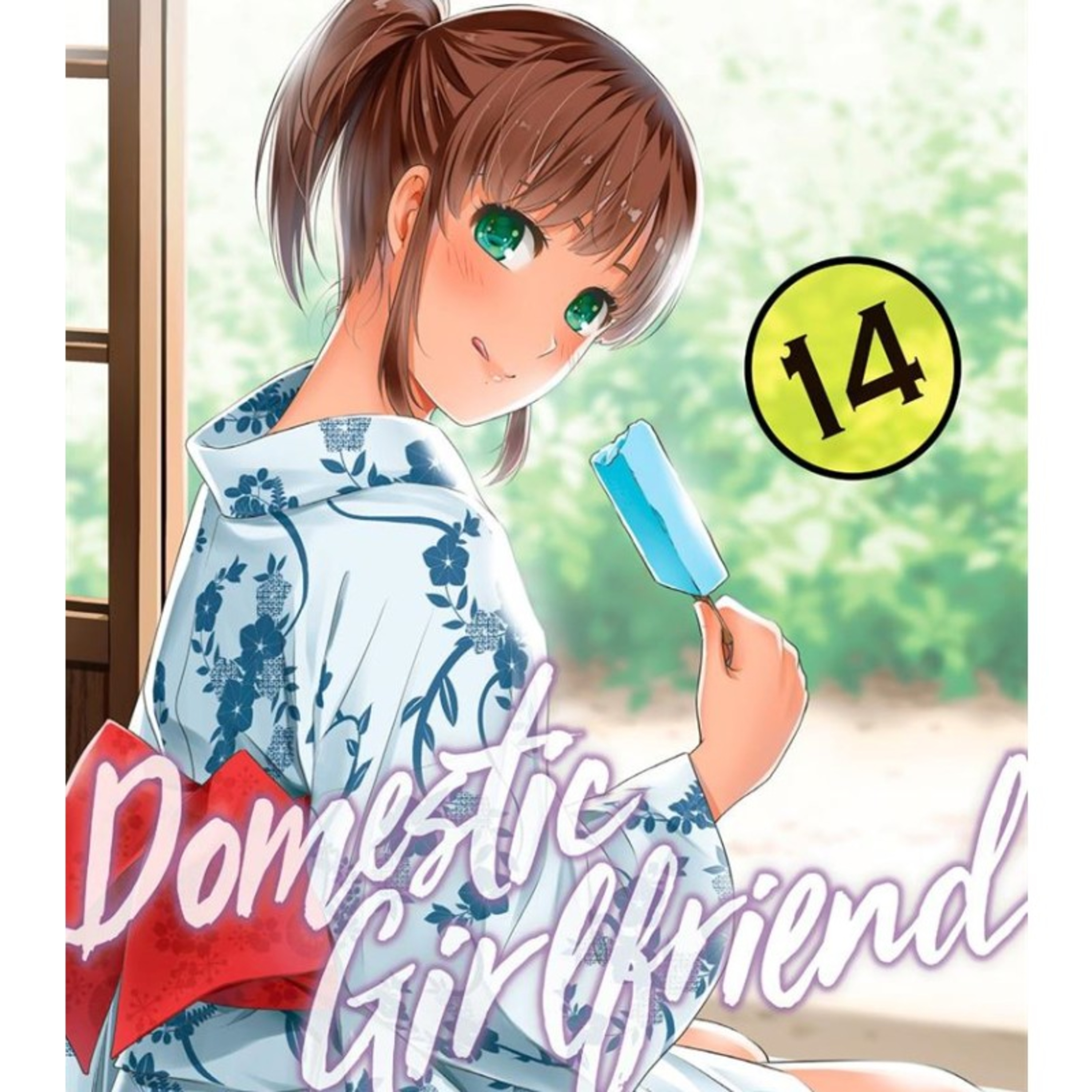 Domestic girlfriend Volumen 14 español Delirante Otaku resume