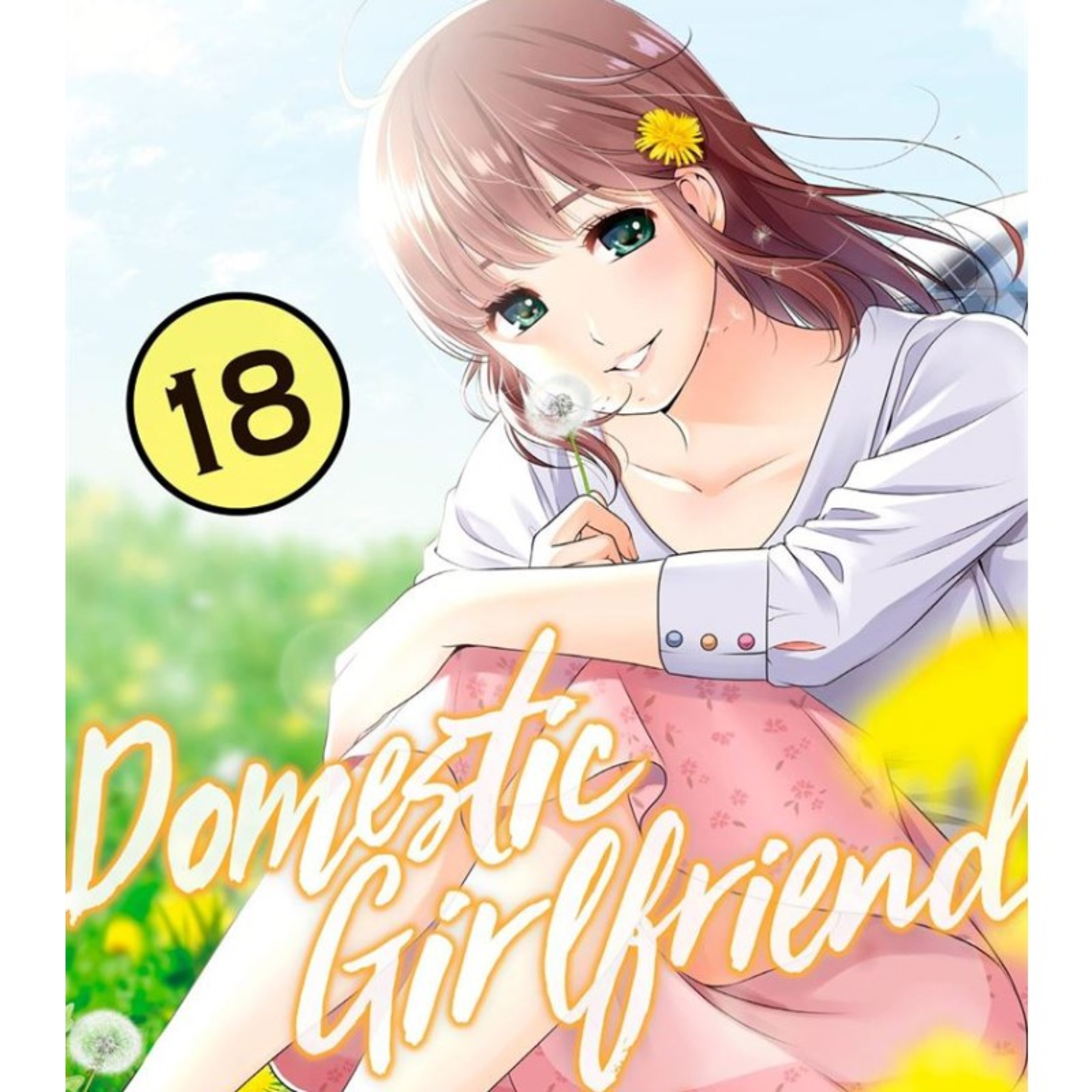 Domestic Girlfriend español Volumen 18 Delirante Otaku resume