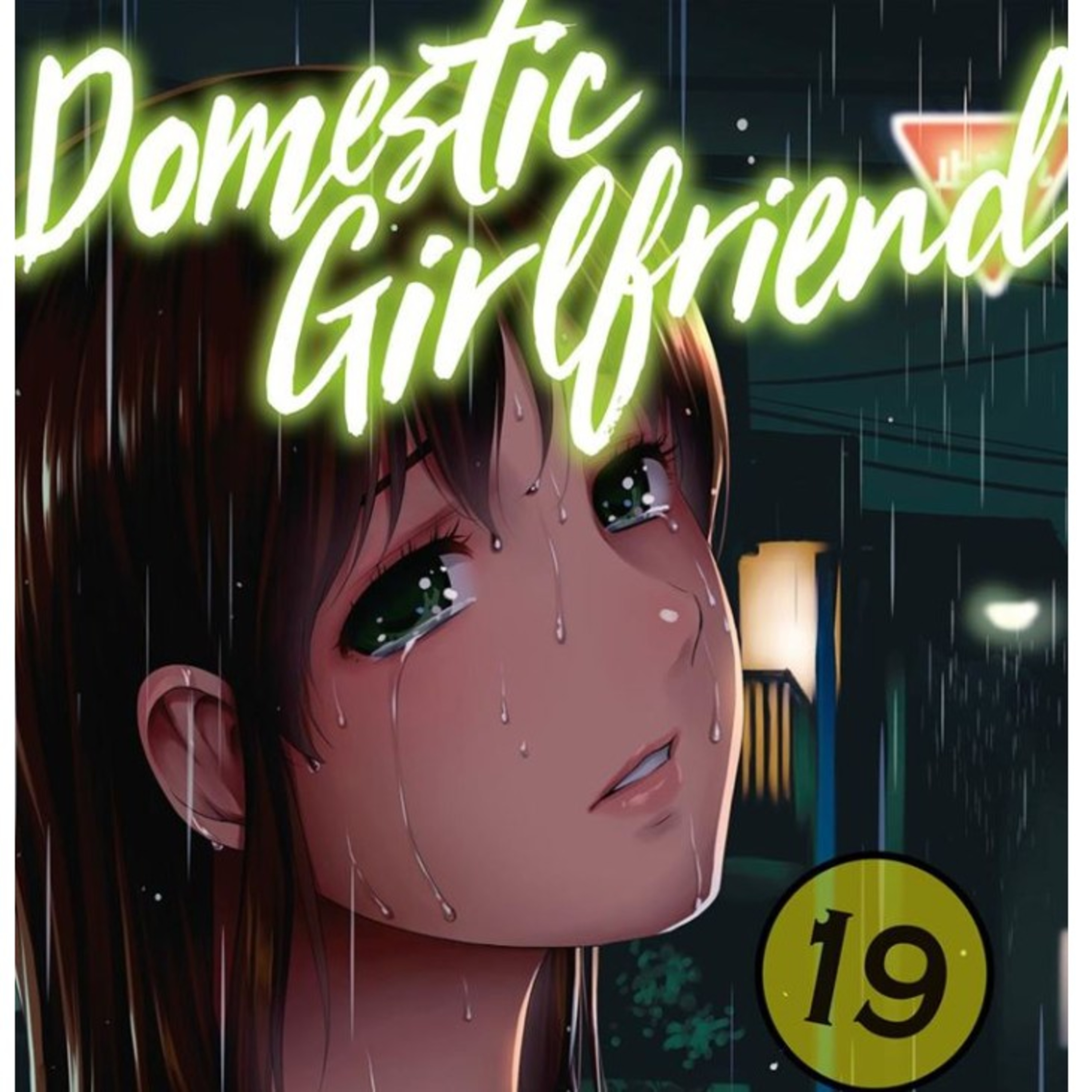 Domestic Girlfriend español Volumen 19 Delirante Otaku resume