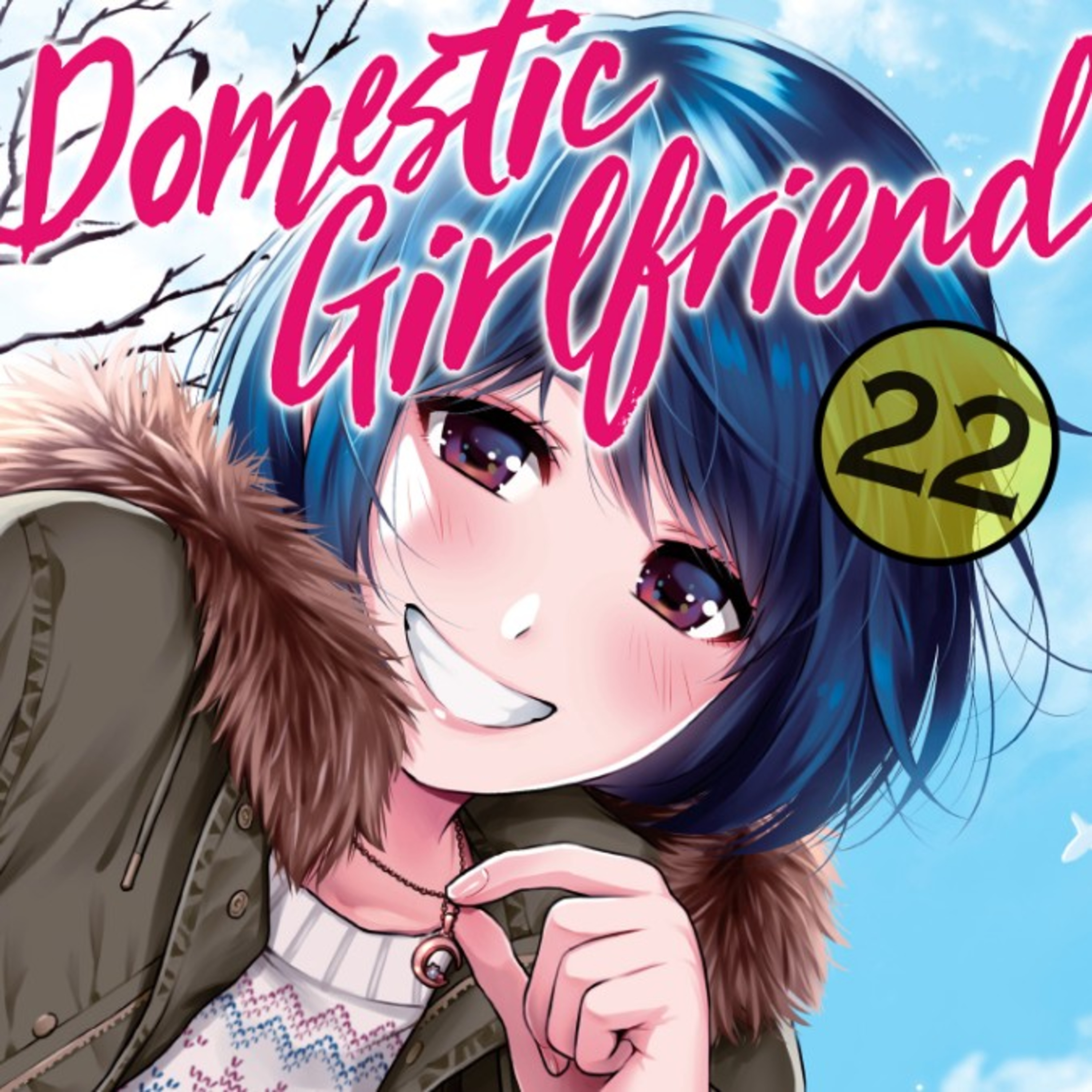 Domestic Girlfriend español Volumen 22 Delirante Otaku resume