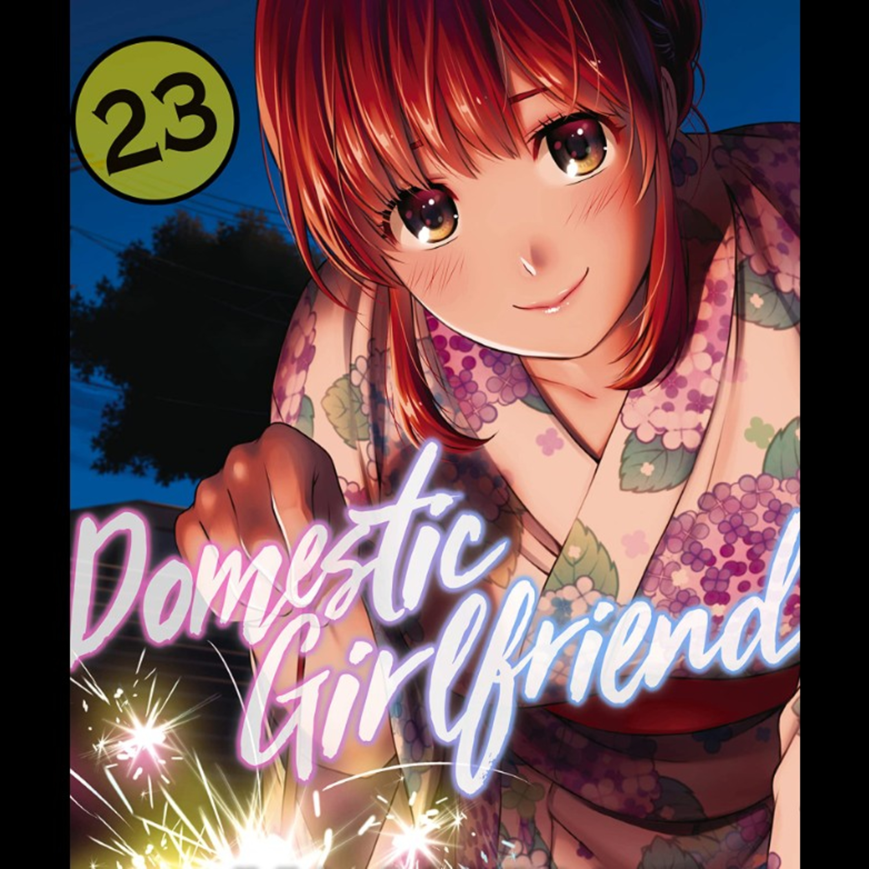 Domestic Girlfriend español Volumen 23 resumen