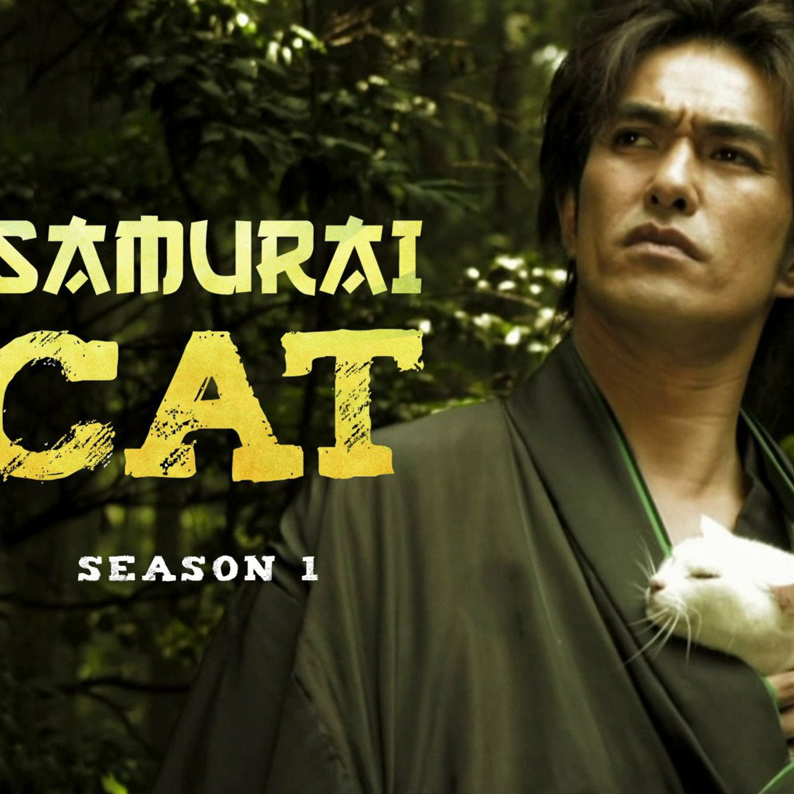 El samurai y el gato  episode artwork