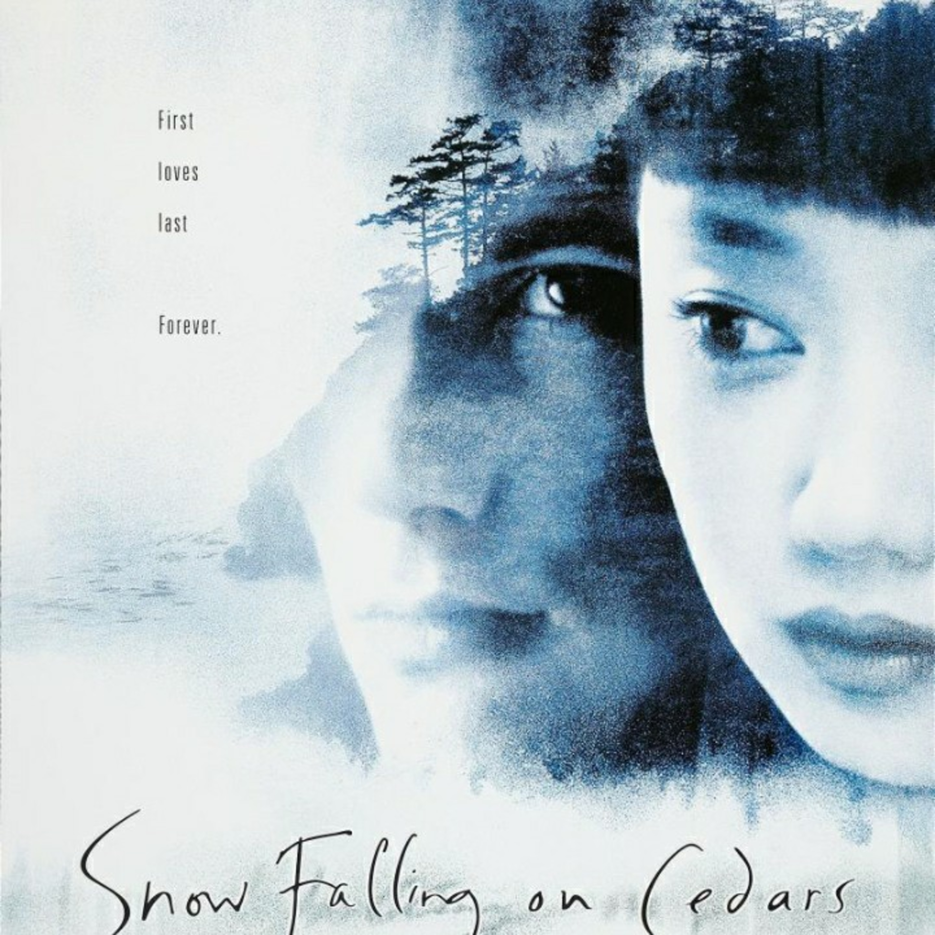 Nieve Cayendo sobre Cedros película opinión y resumen  episode artwork