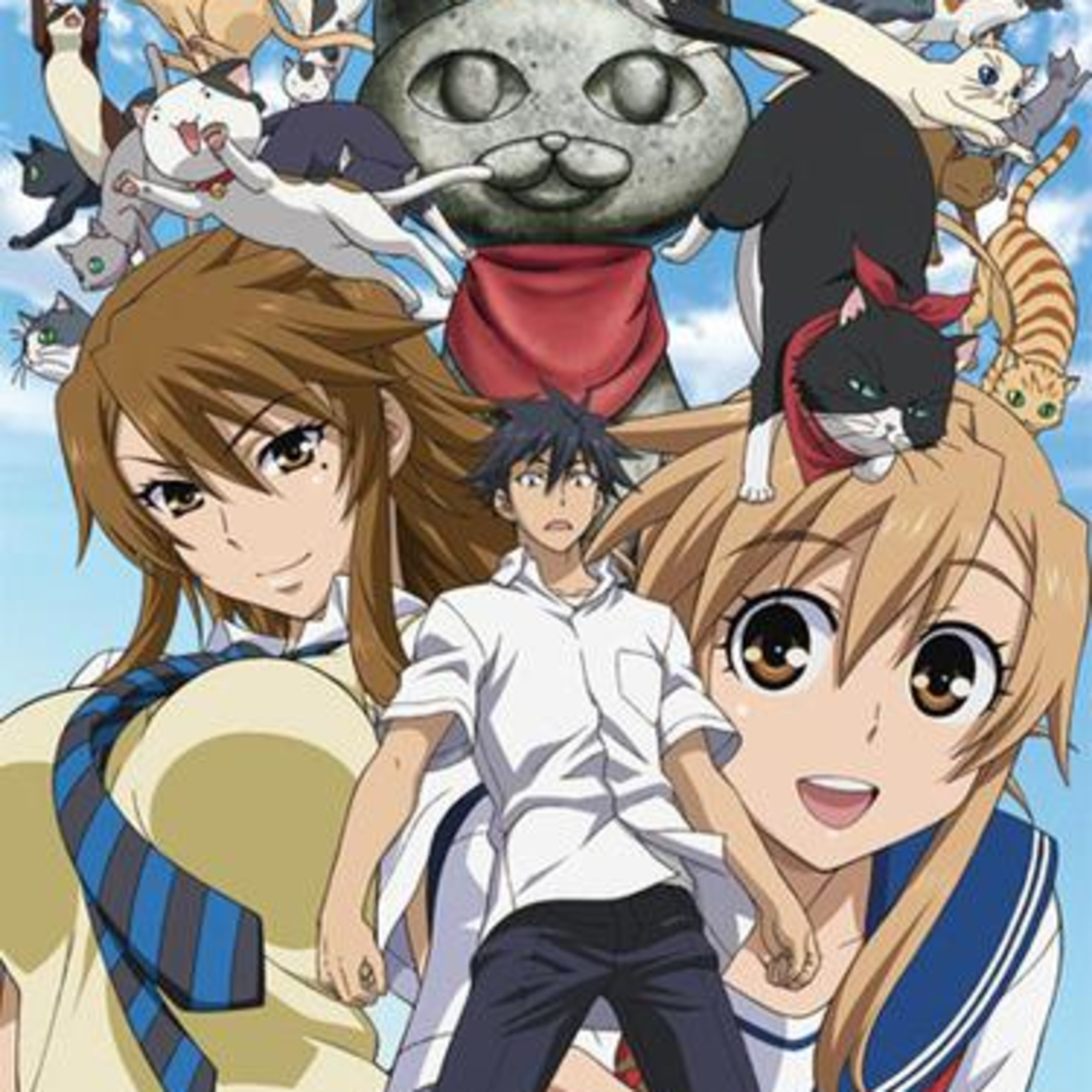 Hablemos de anime: Meow Love (Nyan Koi!) episode artwork