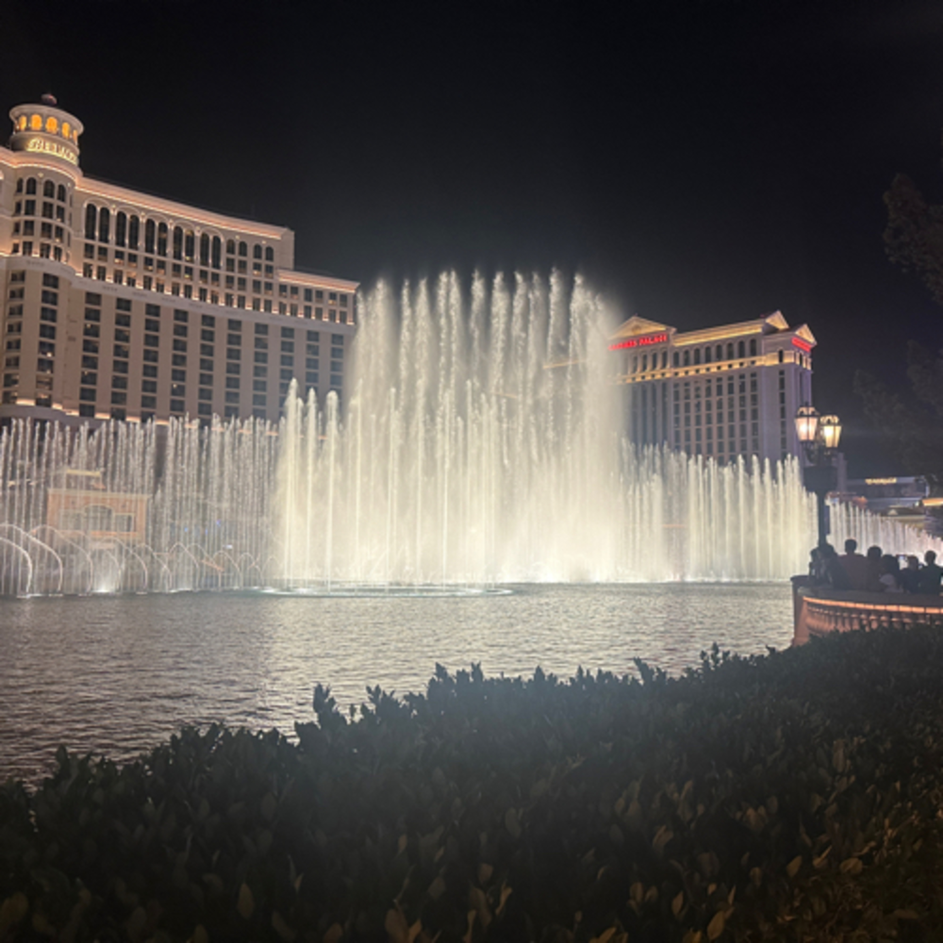 Holistic Healing Podcasts