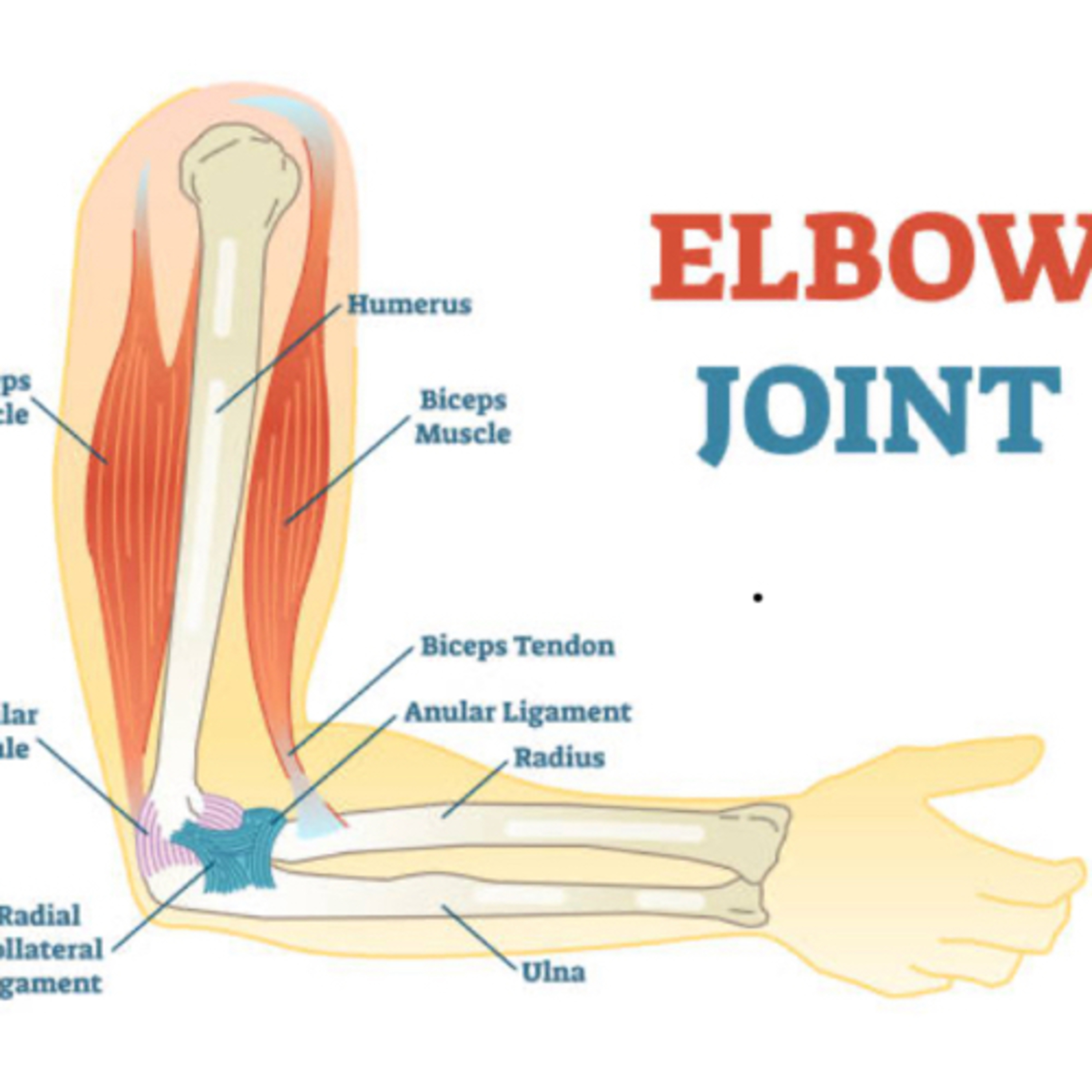 Holistic Healing Podcasts