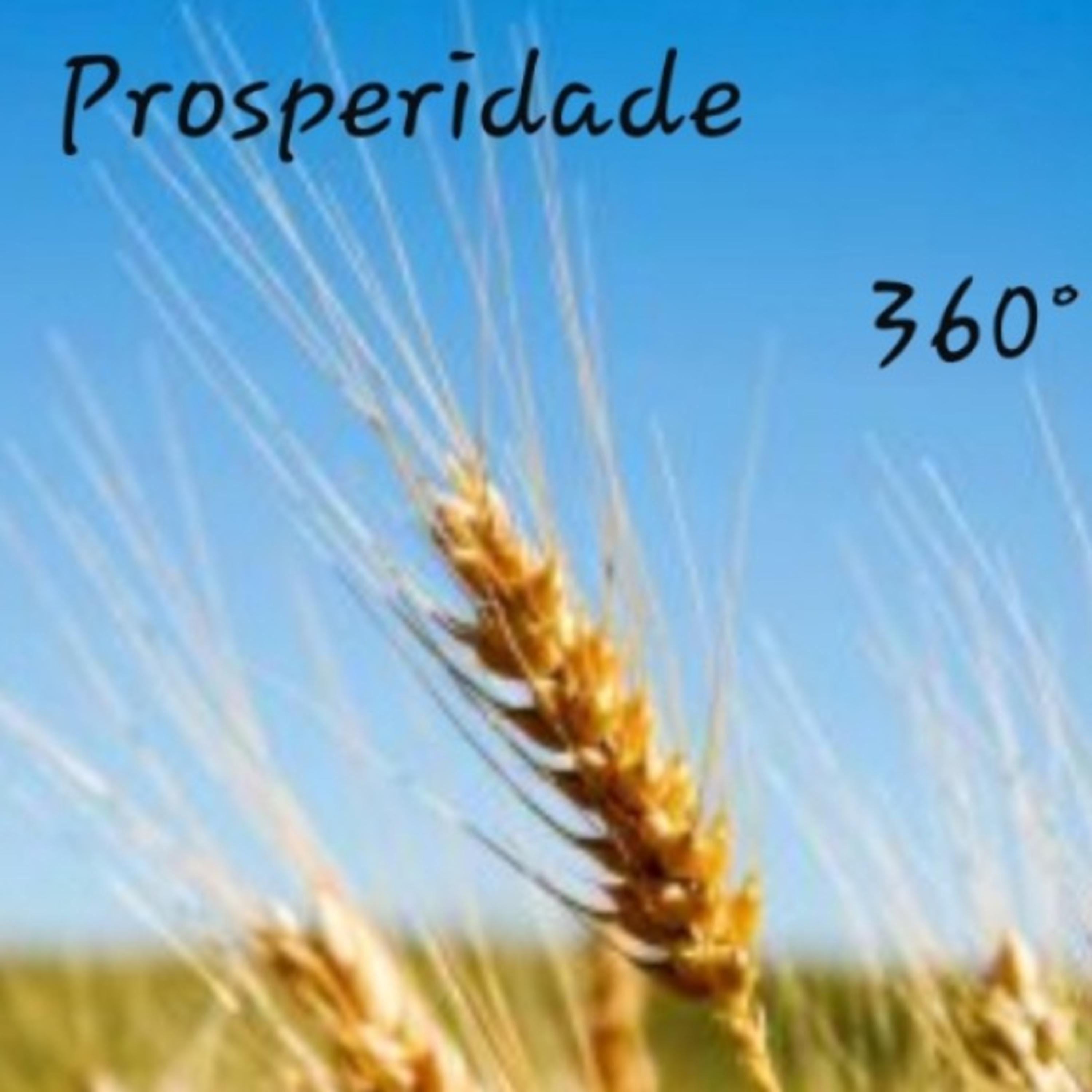 Prosperidade 360