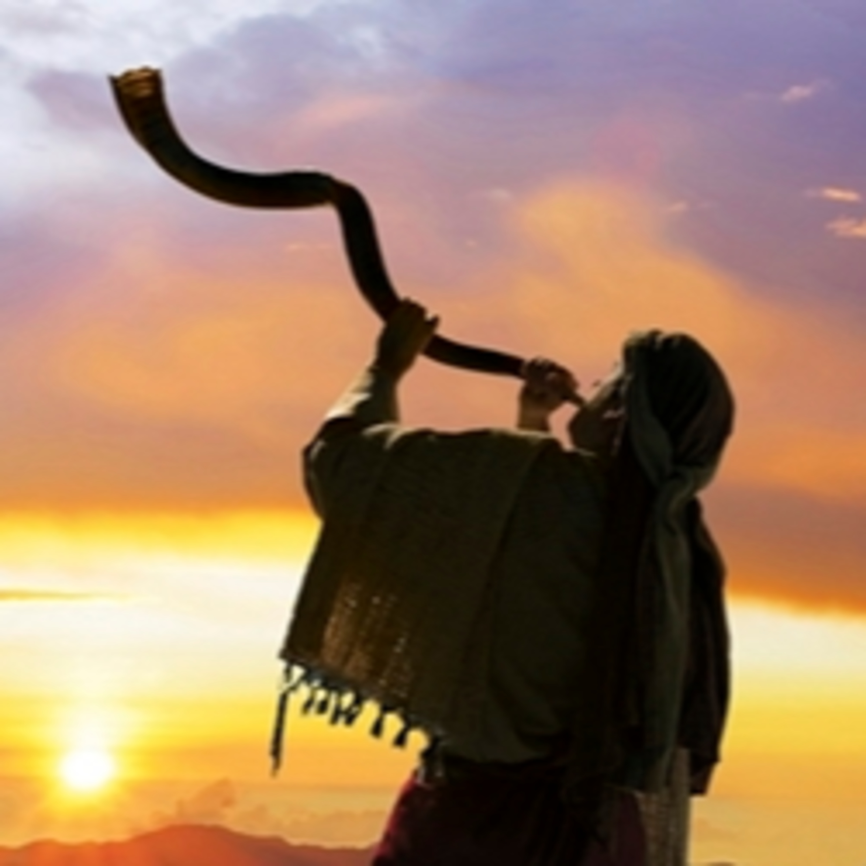 003. Un son d'avertissement