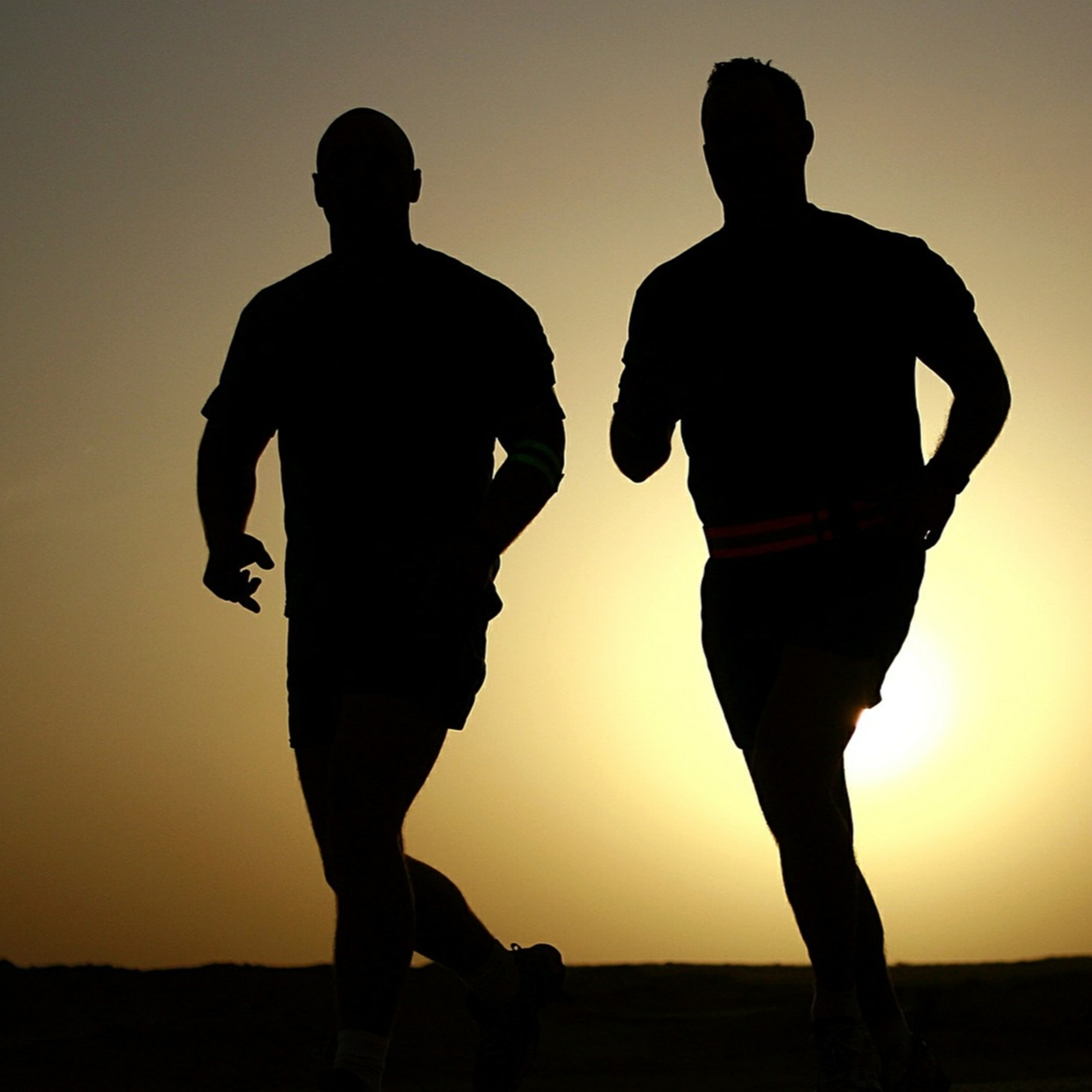 056. Qui vous a arrêté ?