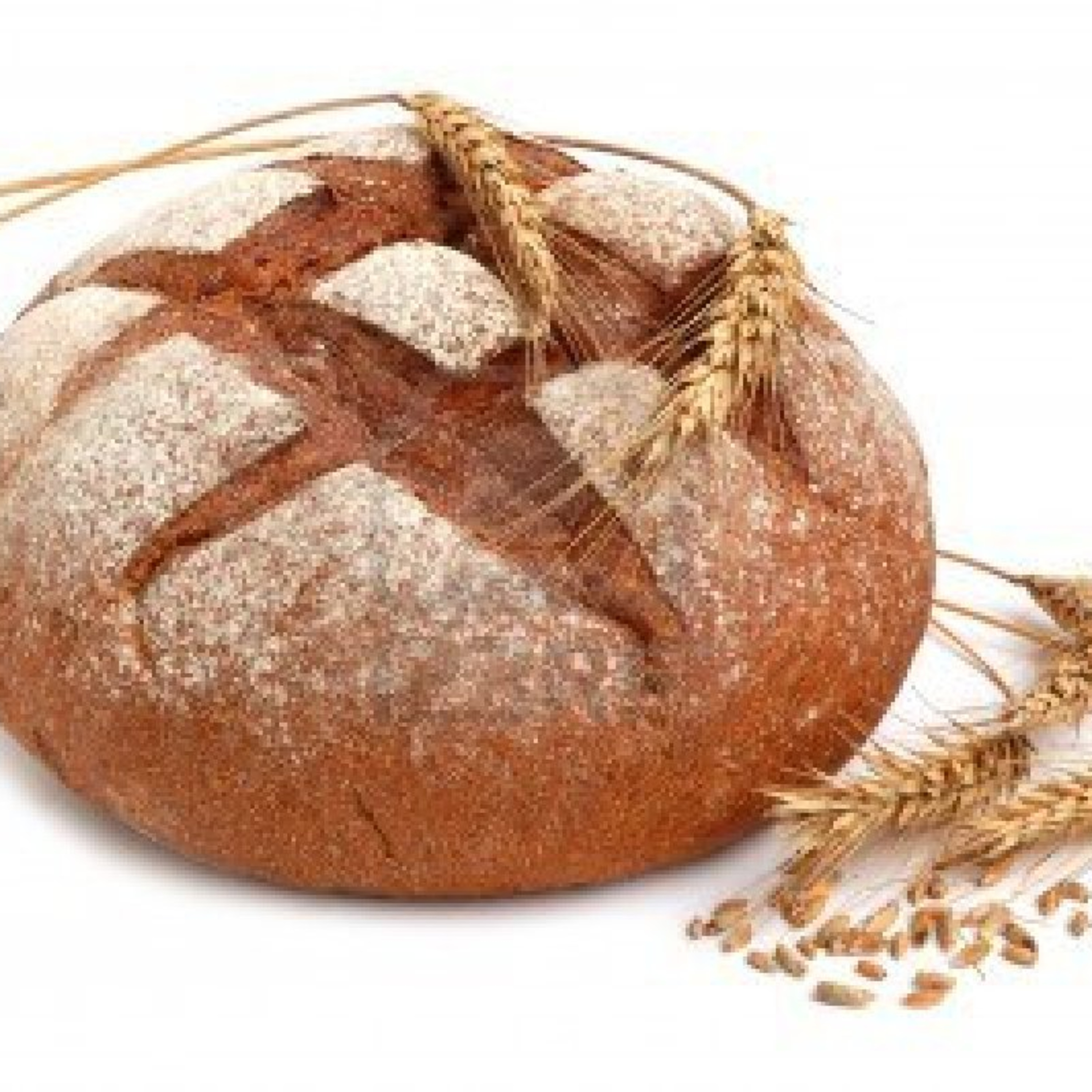 064. Notre pain quotidien episode artwork