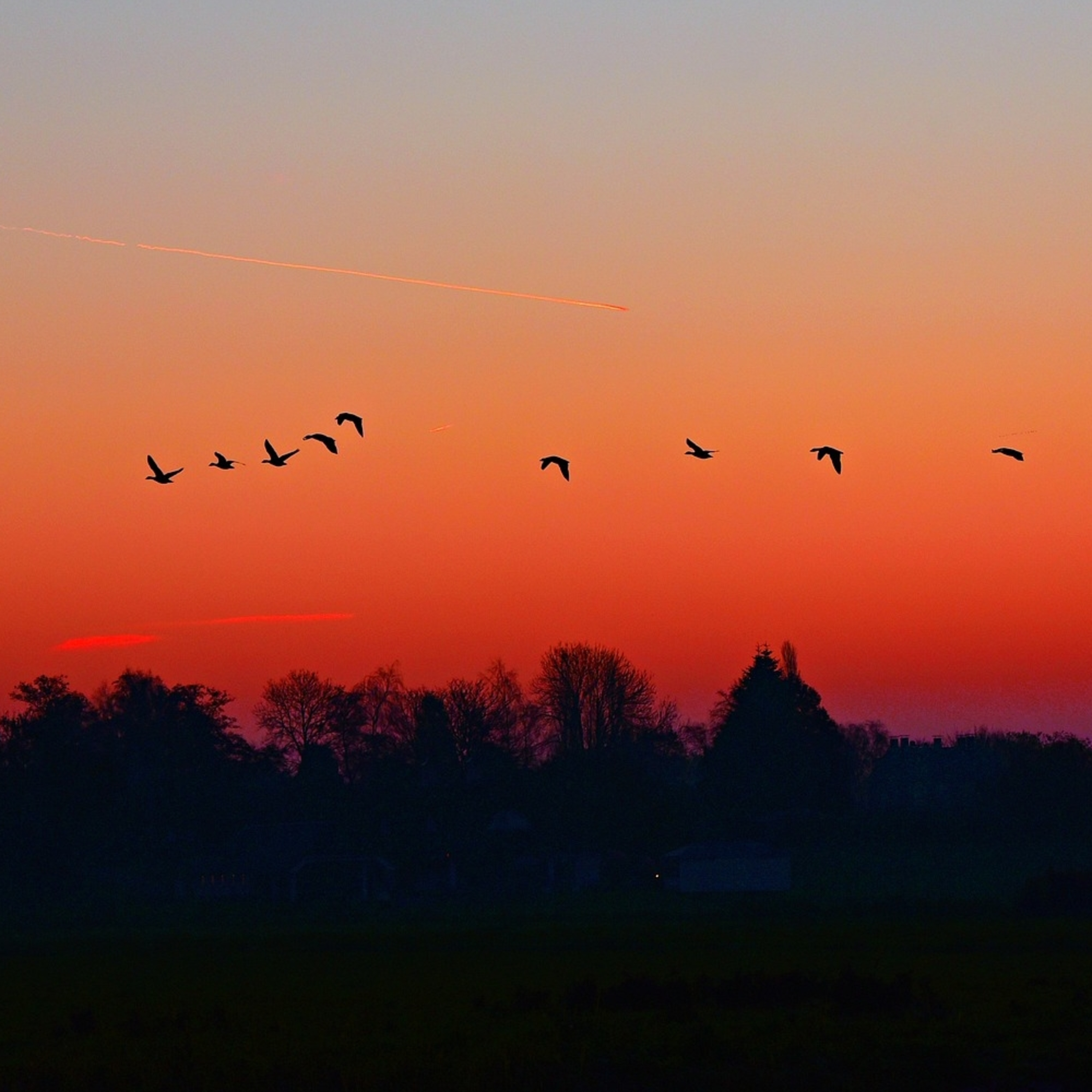 078. Si l'on devait mourir demain