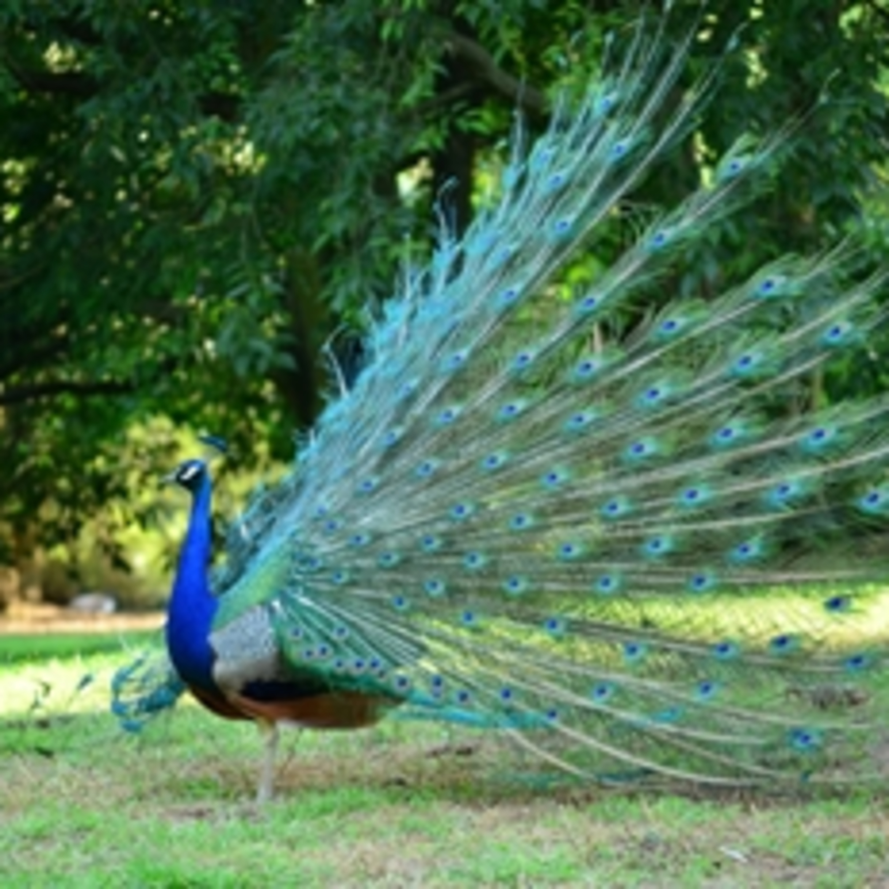 086. Petits à nos yeux