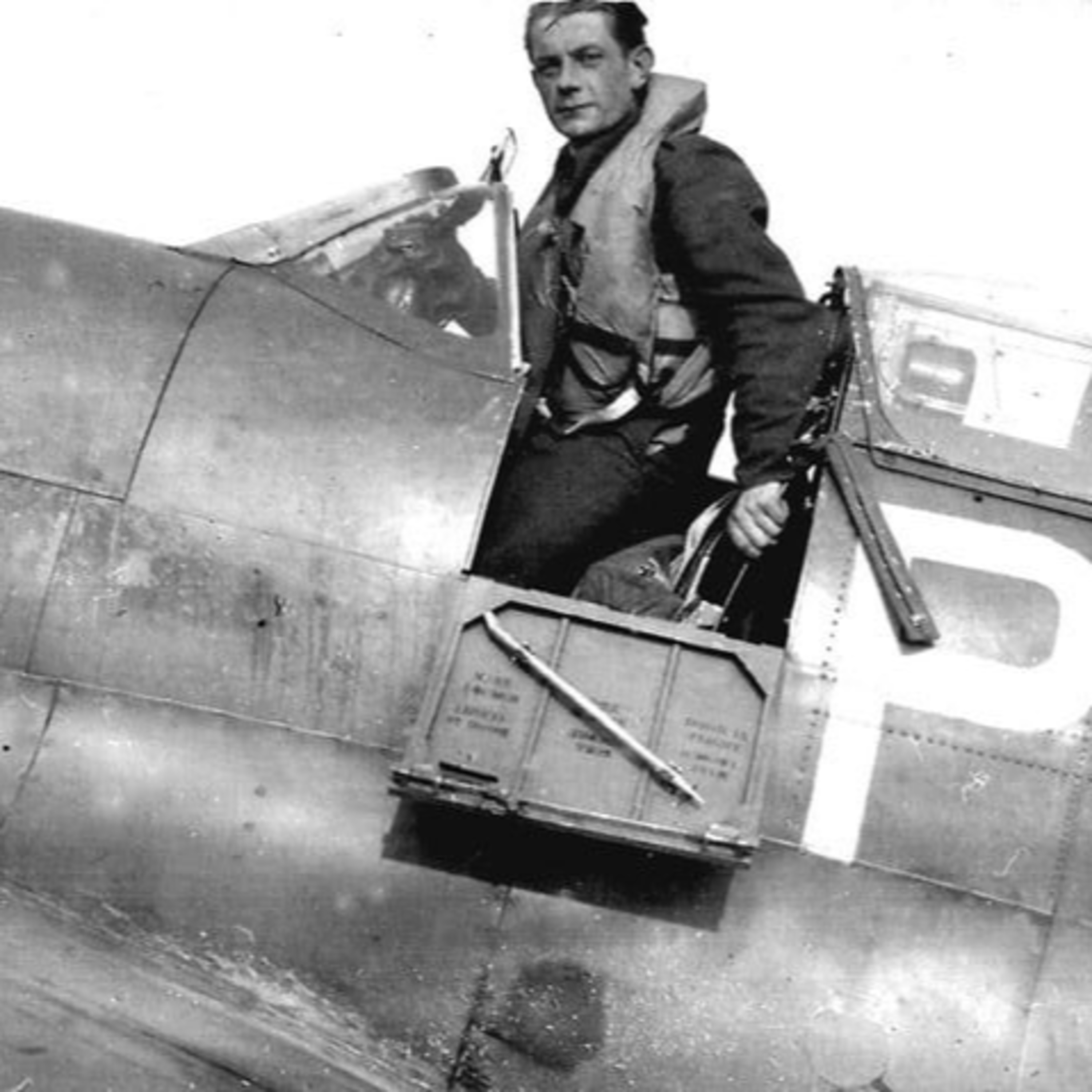 agnieszka czyżewska jacquemet "ostatni lot"