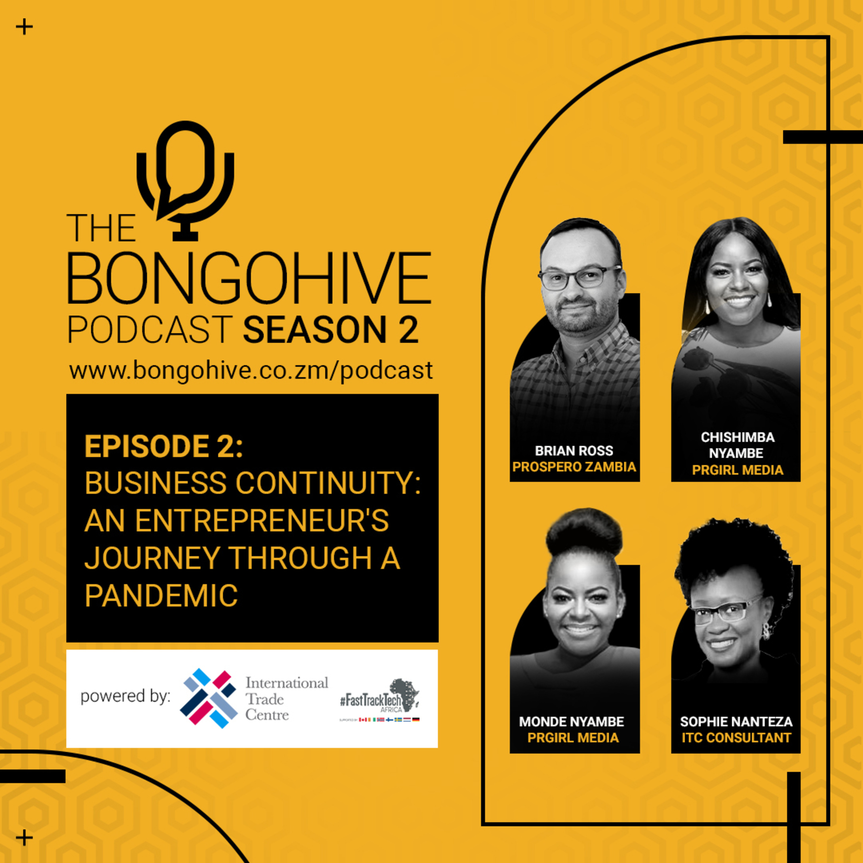 The BongoHive Podcast