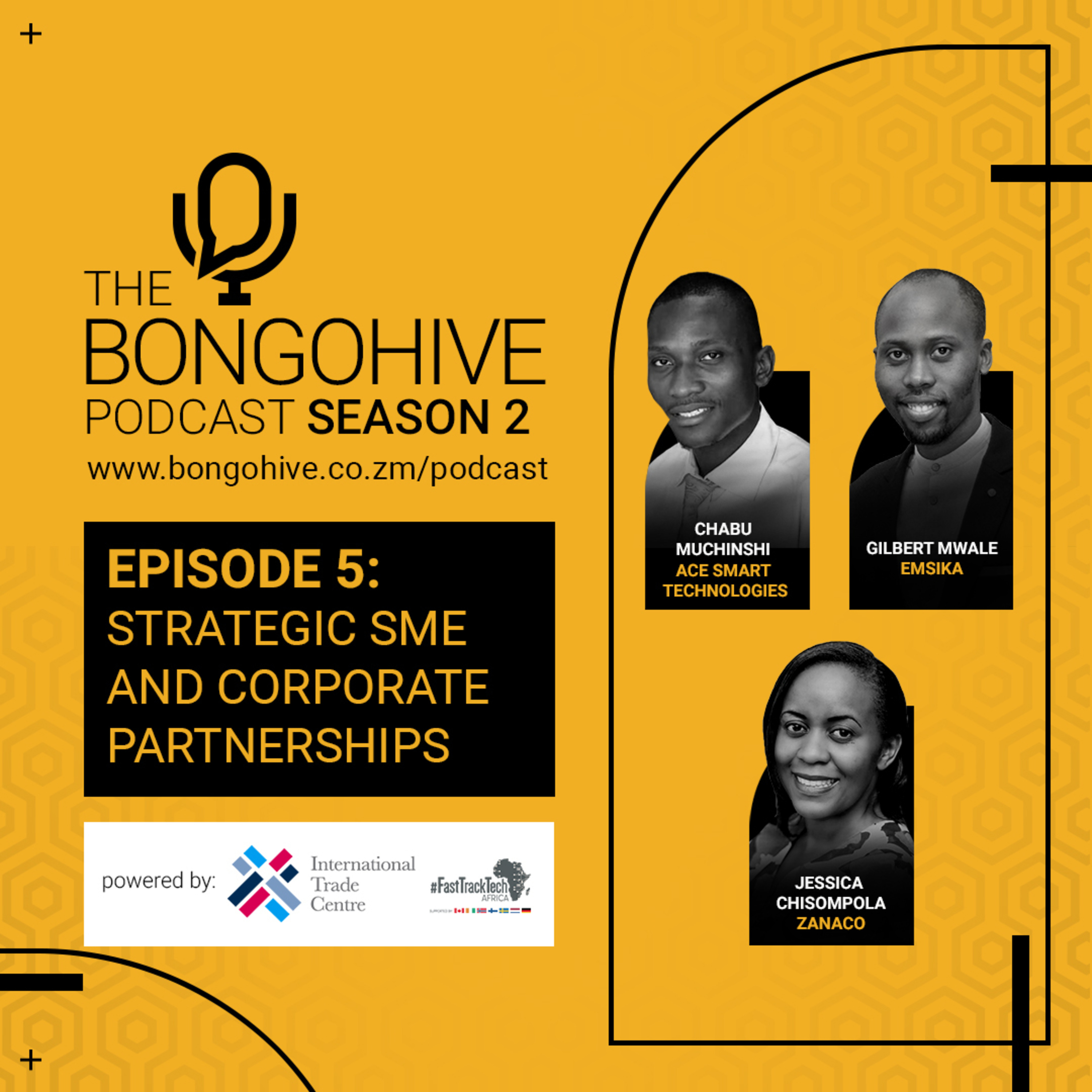 The BongoHive Podcast