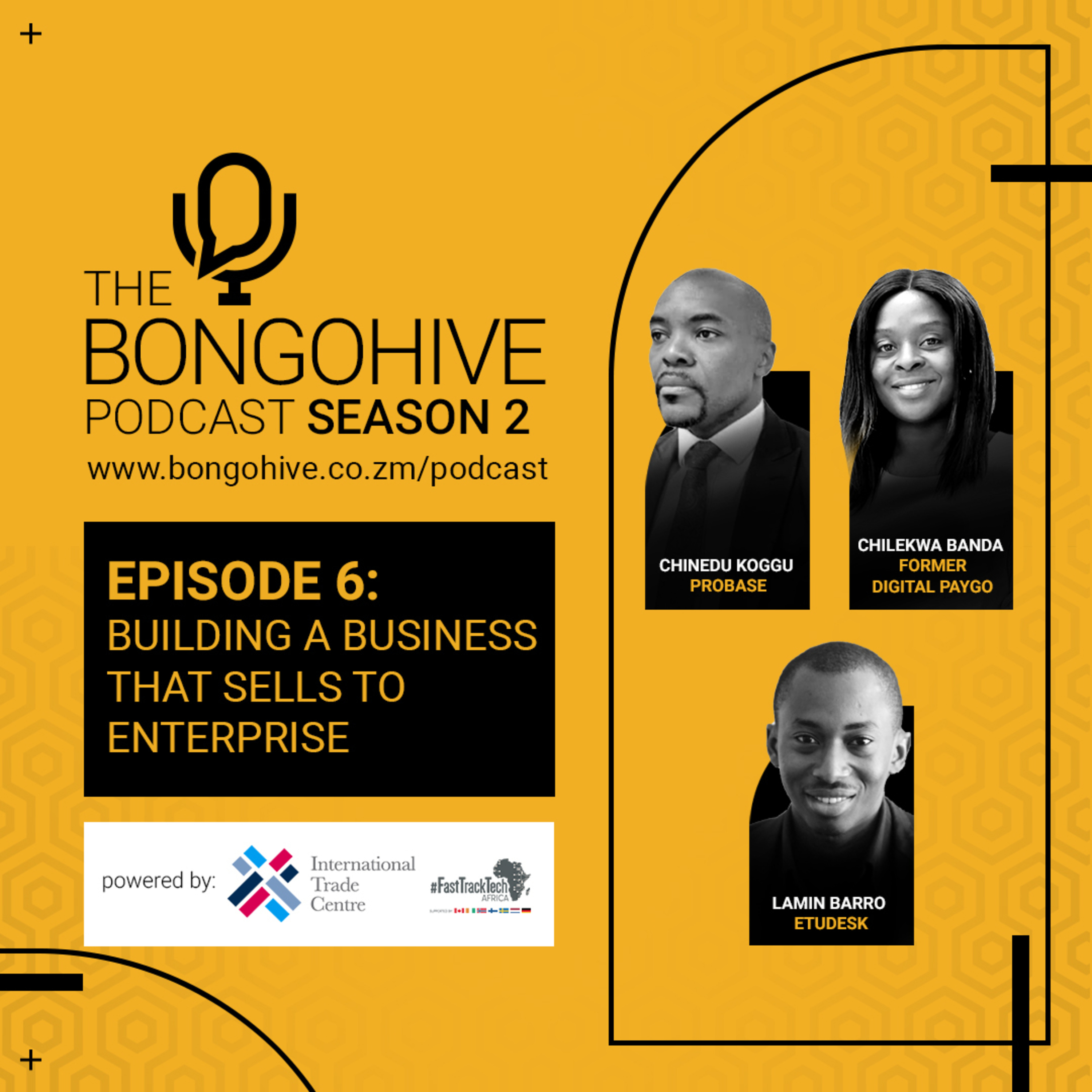 The BongoHive Podcast