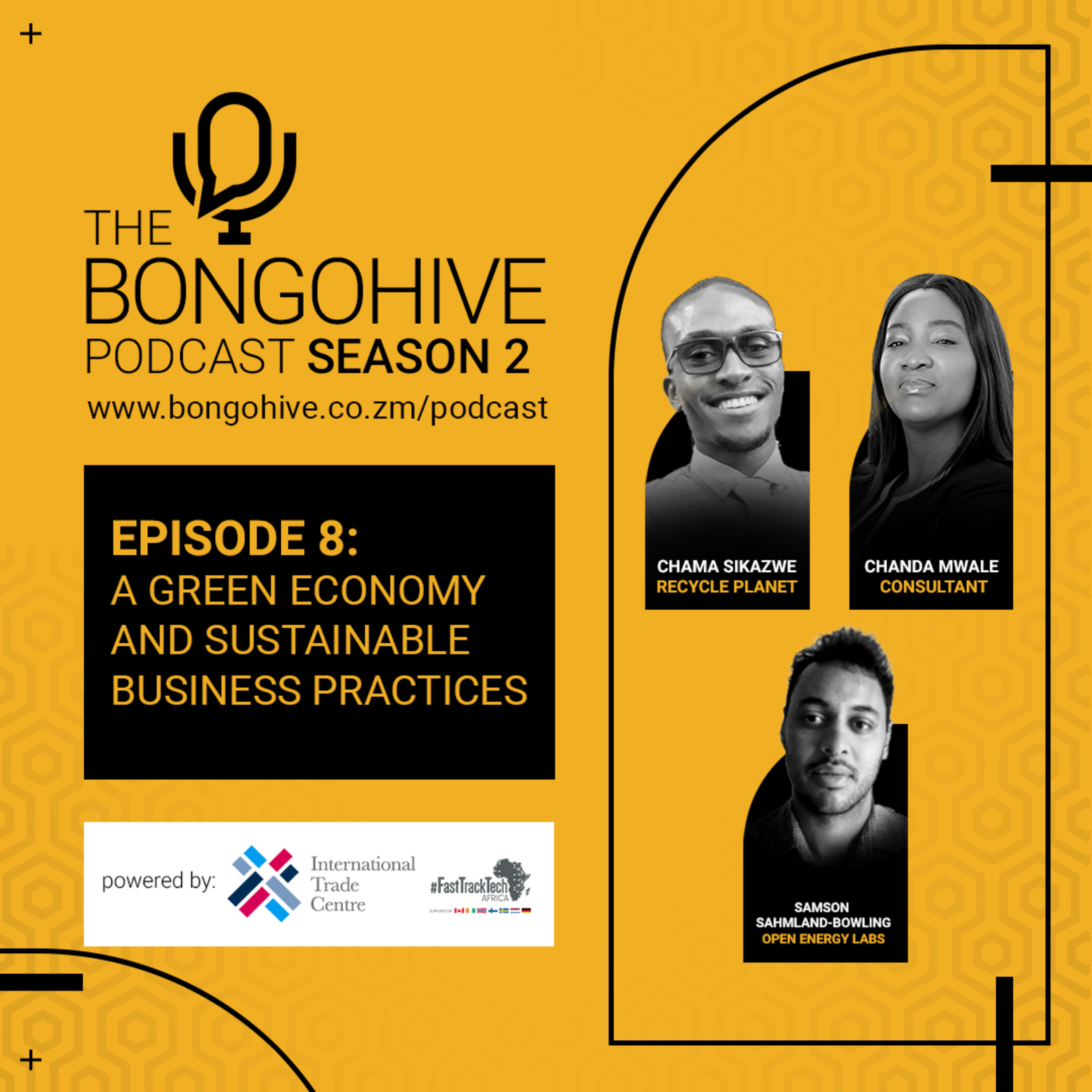 The BongoHive Podcast