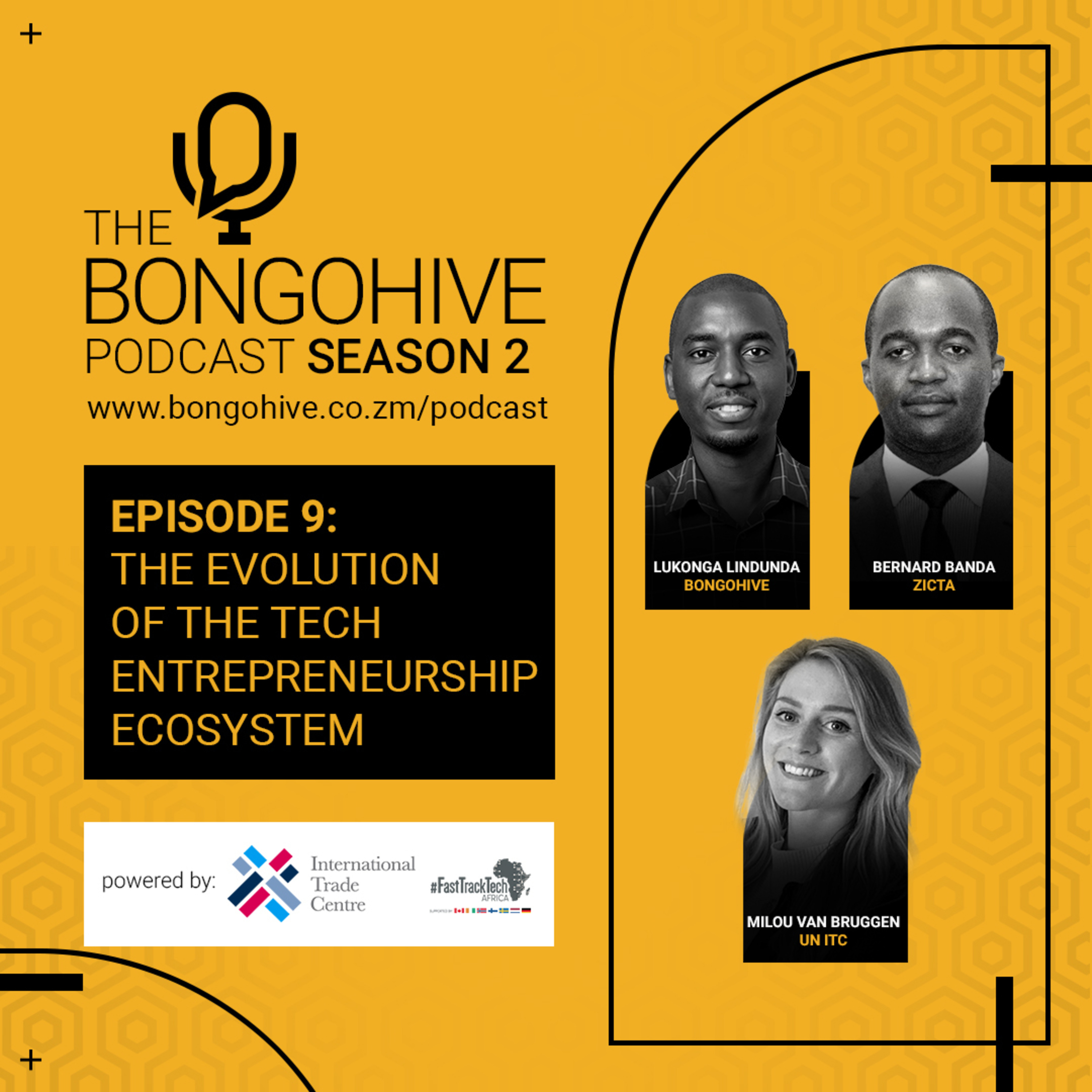 The BongoHive Podcast