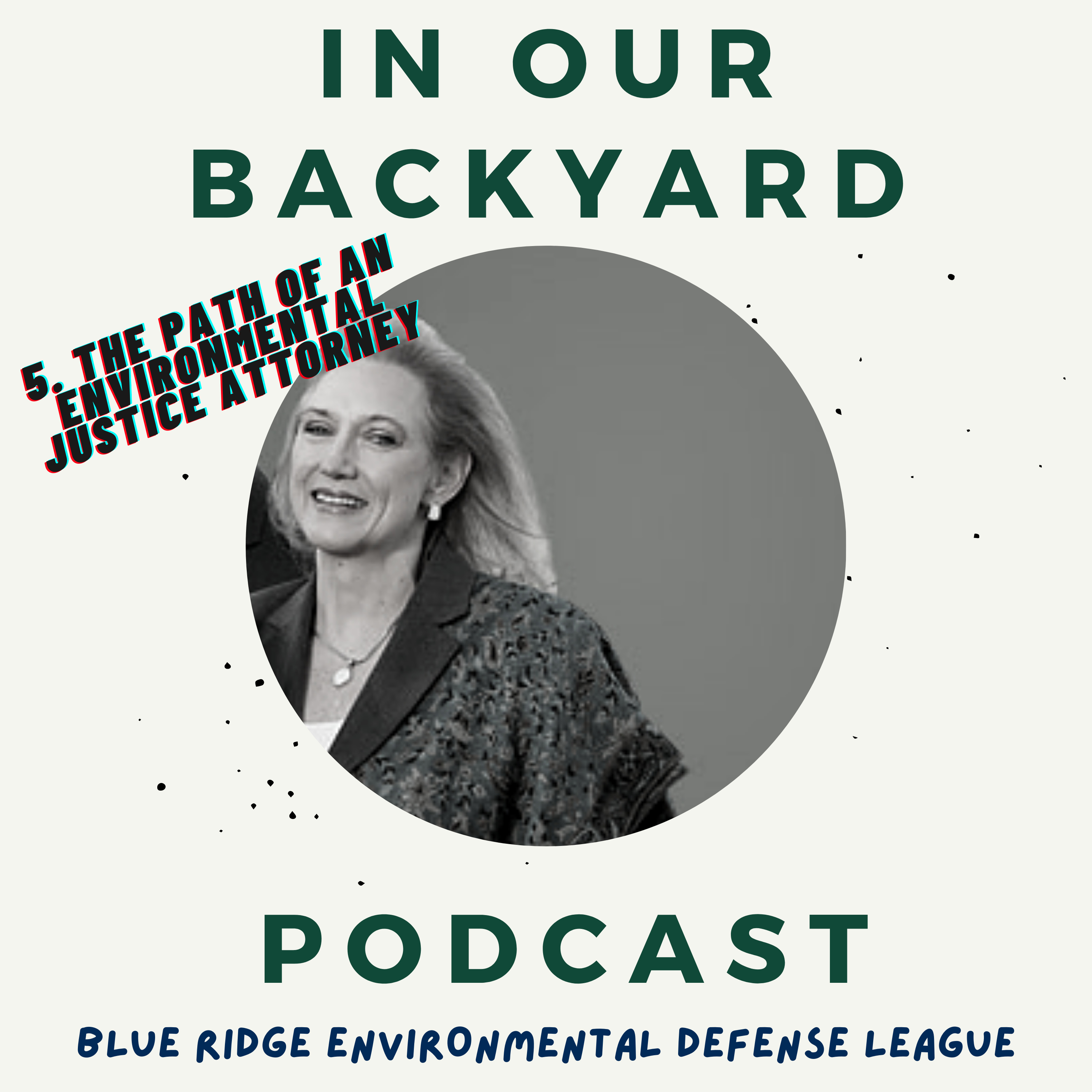5. The Path of an Environmental Justice Attorney
