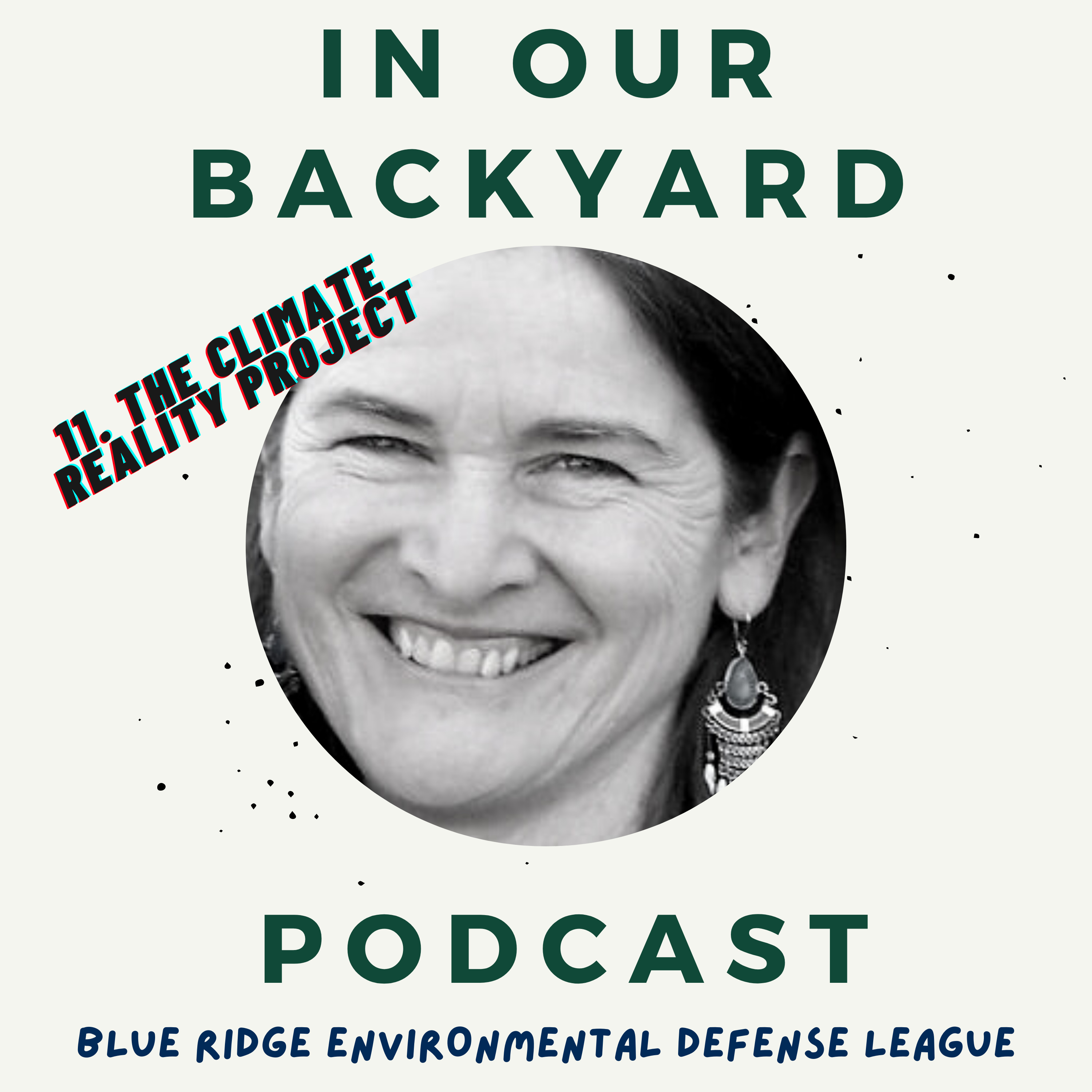 11. The Climate Reality Project