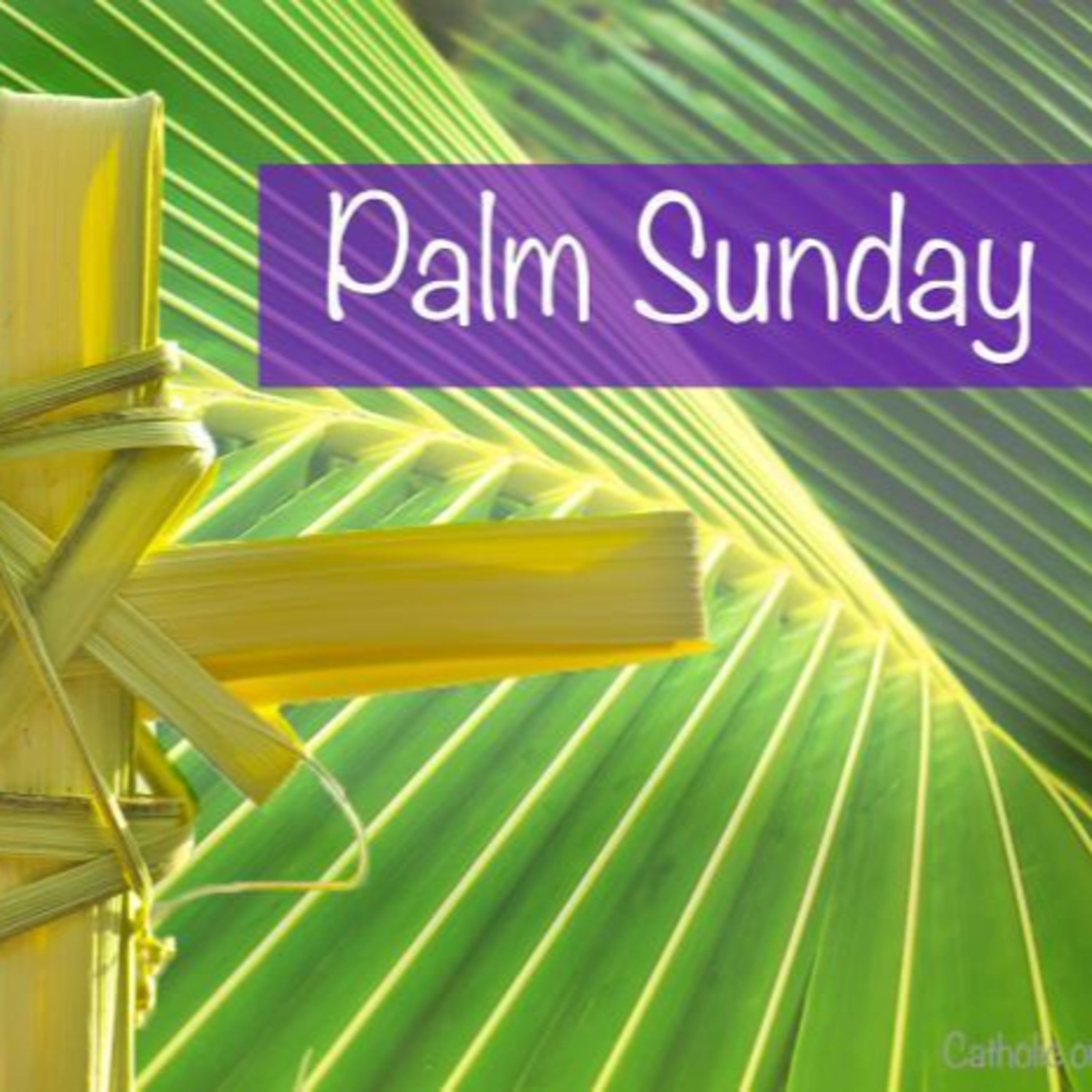 Old First Church Newark Podcast