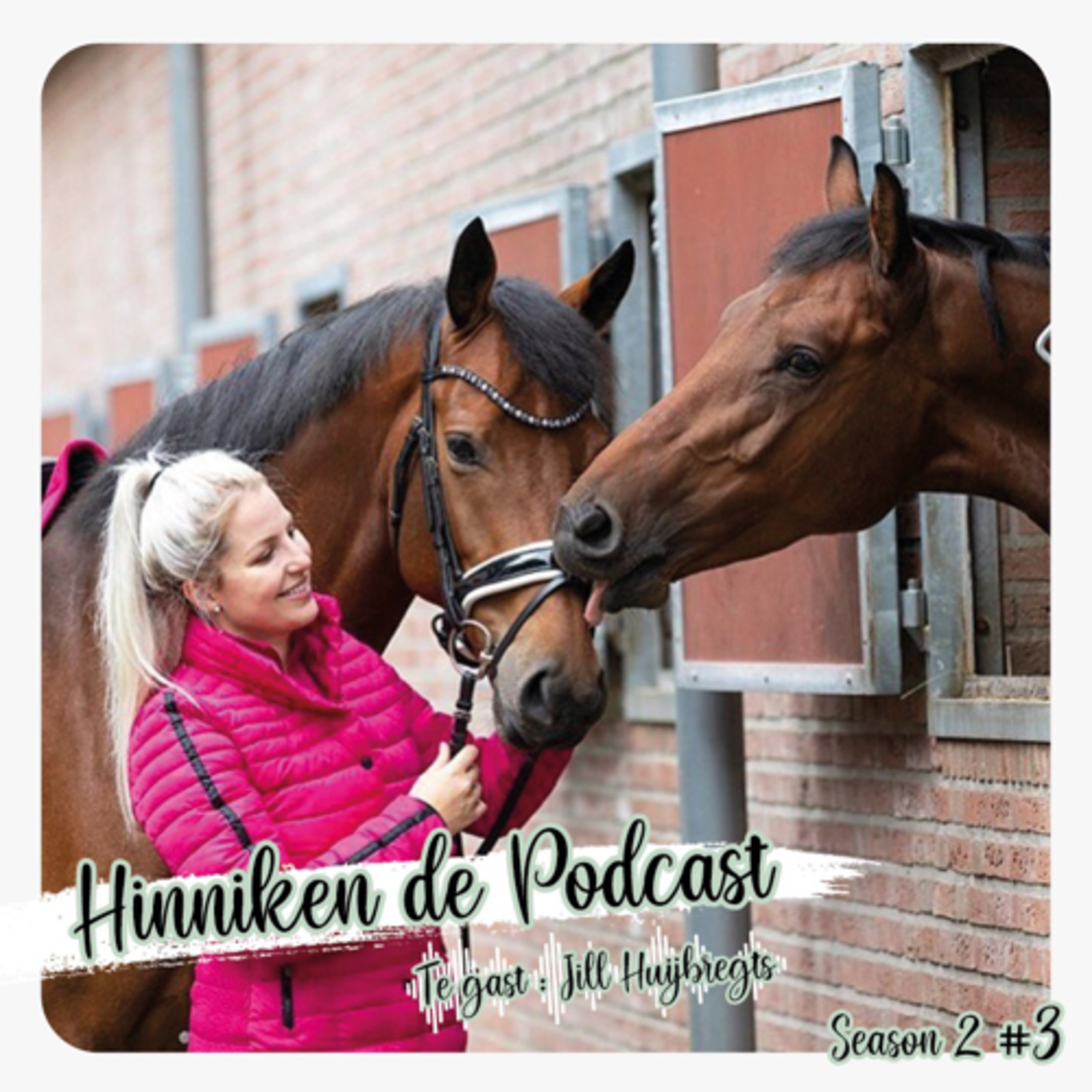 Feline Fauve Podcast