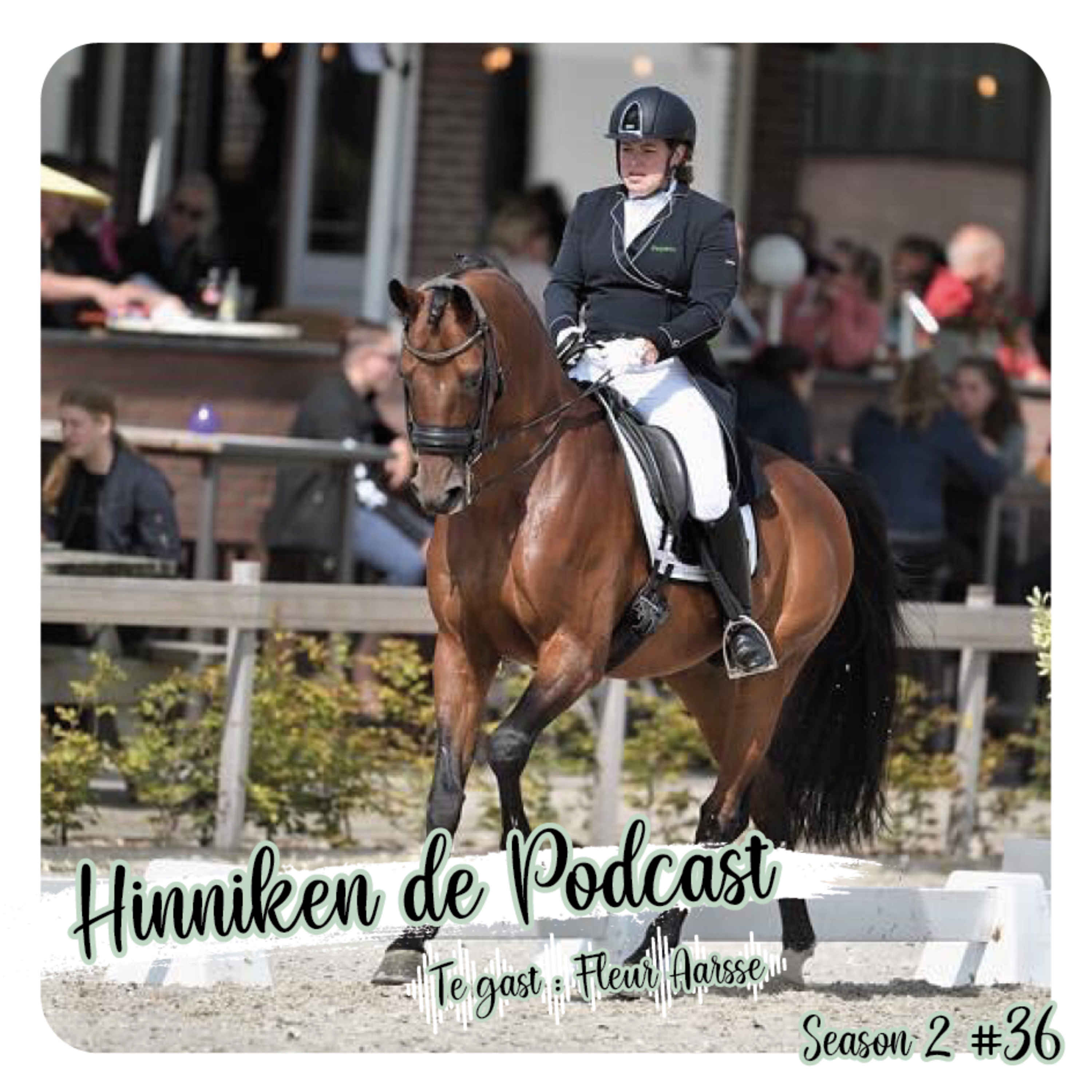 Feline Fauve Podcast