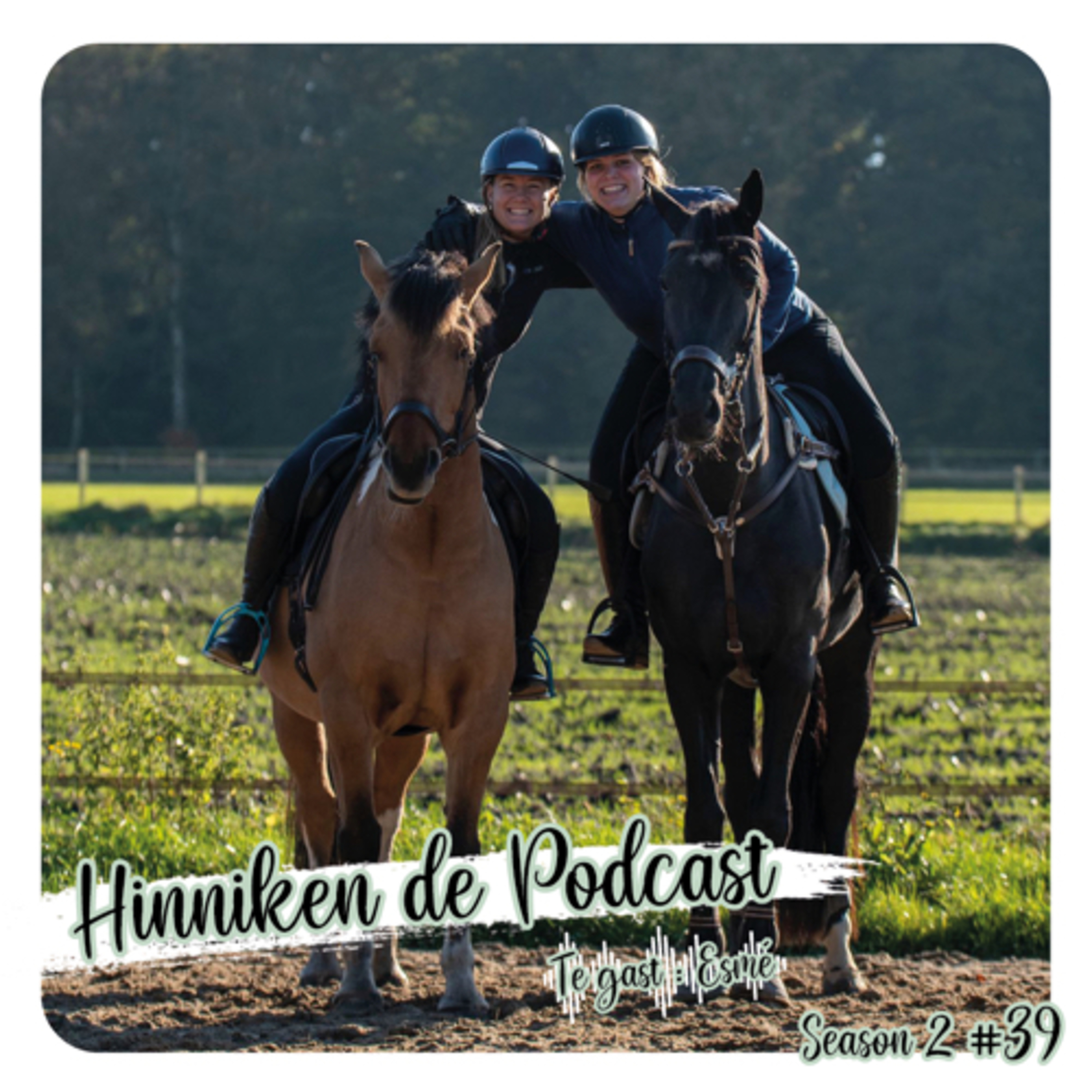 Feline Fauve Podcast