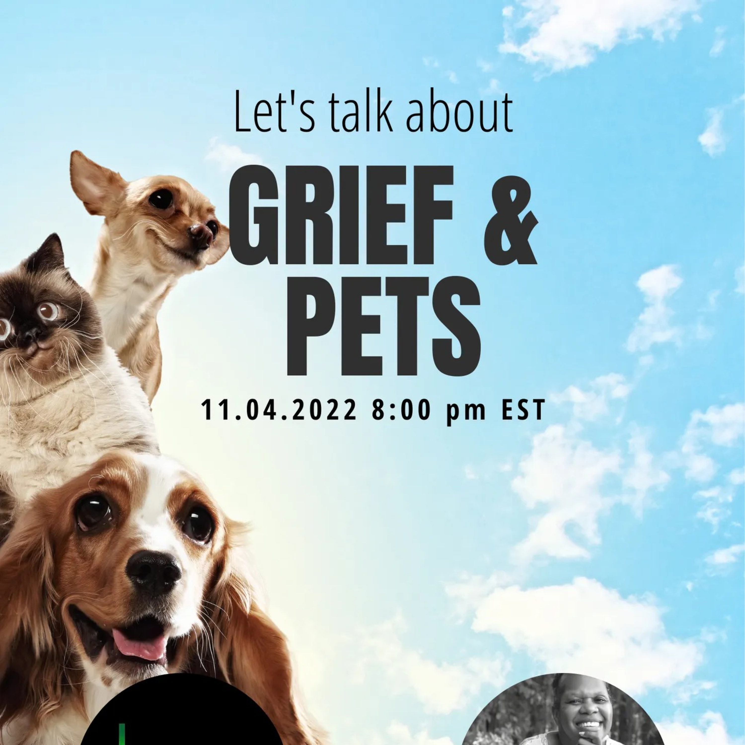 Lets Talk About Grief and Pets  episode artwork
