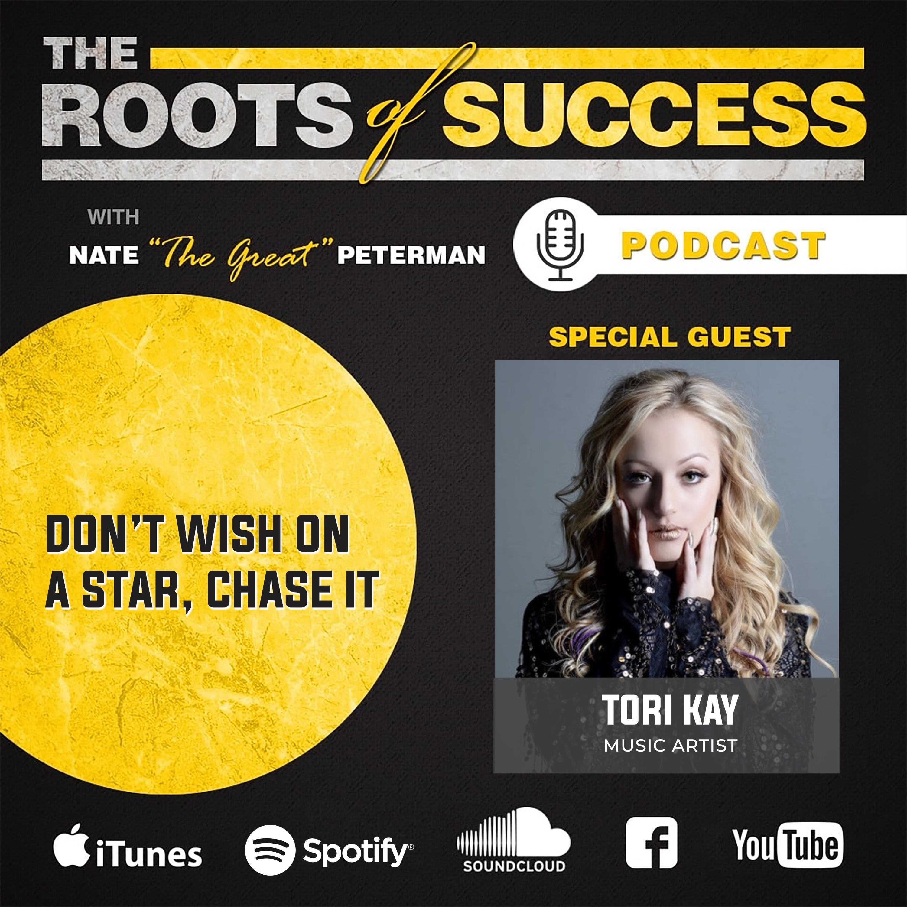 Don't Wish on a Star, Chase it with Tori Kay episode artwork