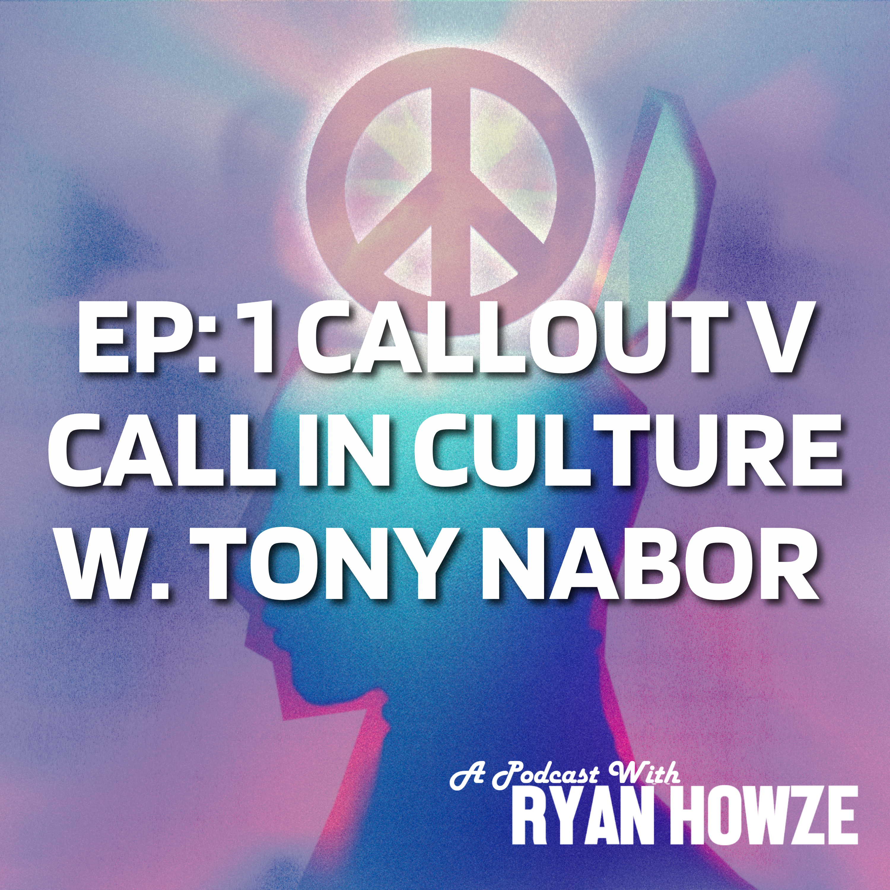 The Conscious Environment Podcast