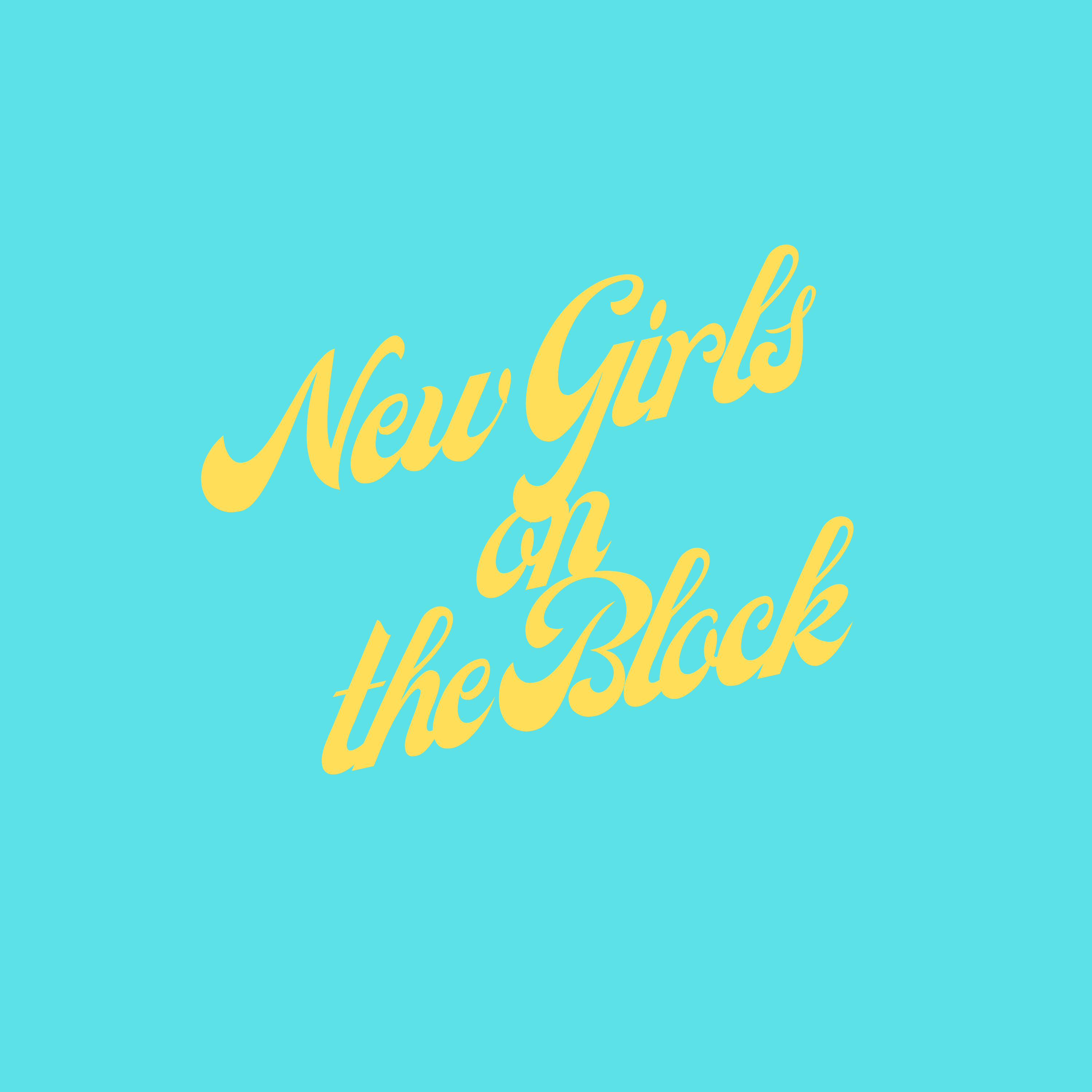 New Girls On The Block