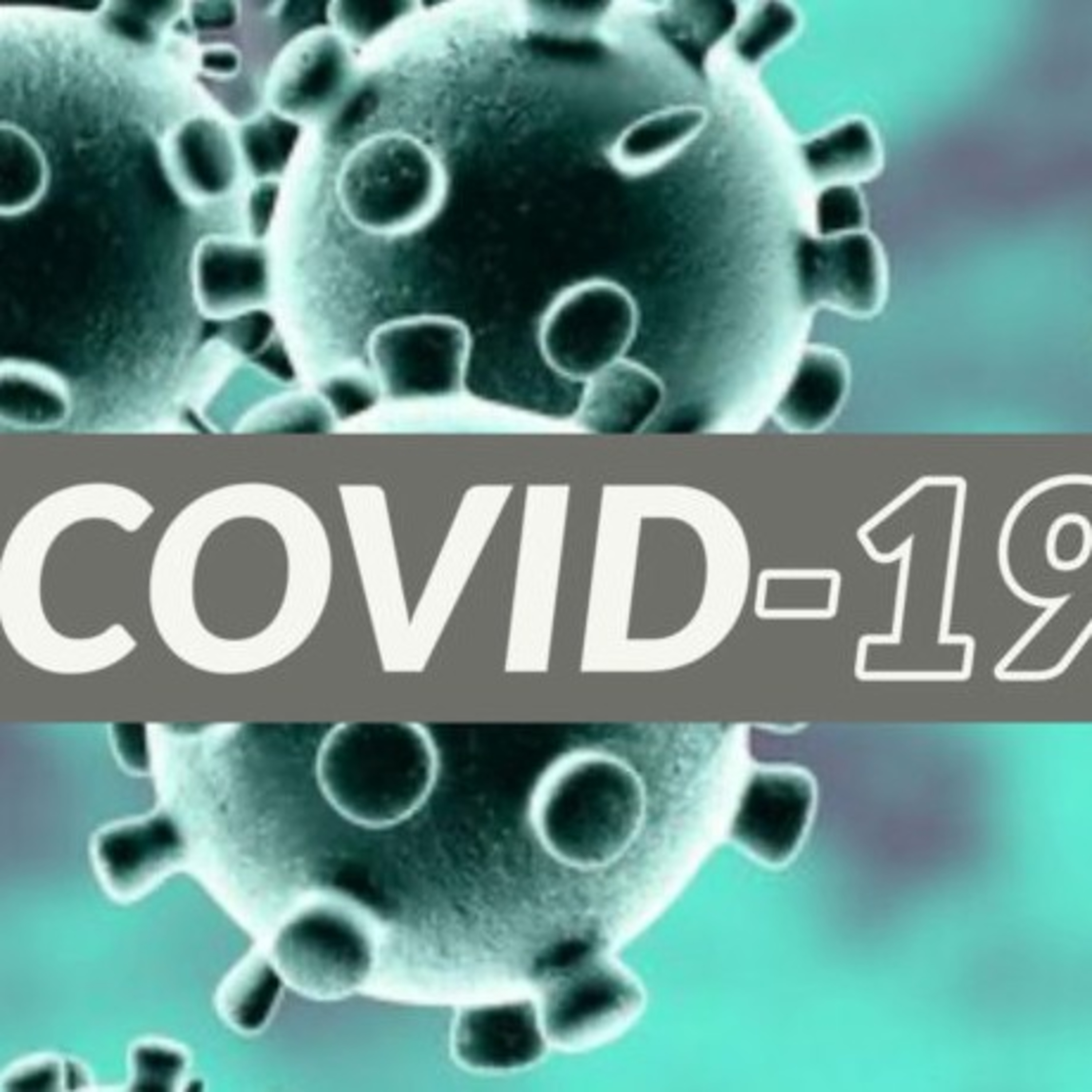 Covid-19 aka cornavirus converstation