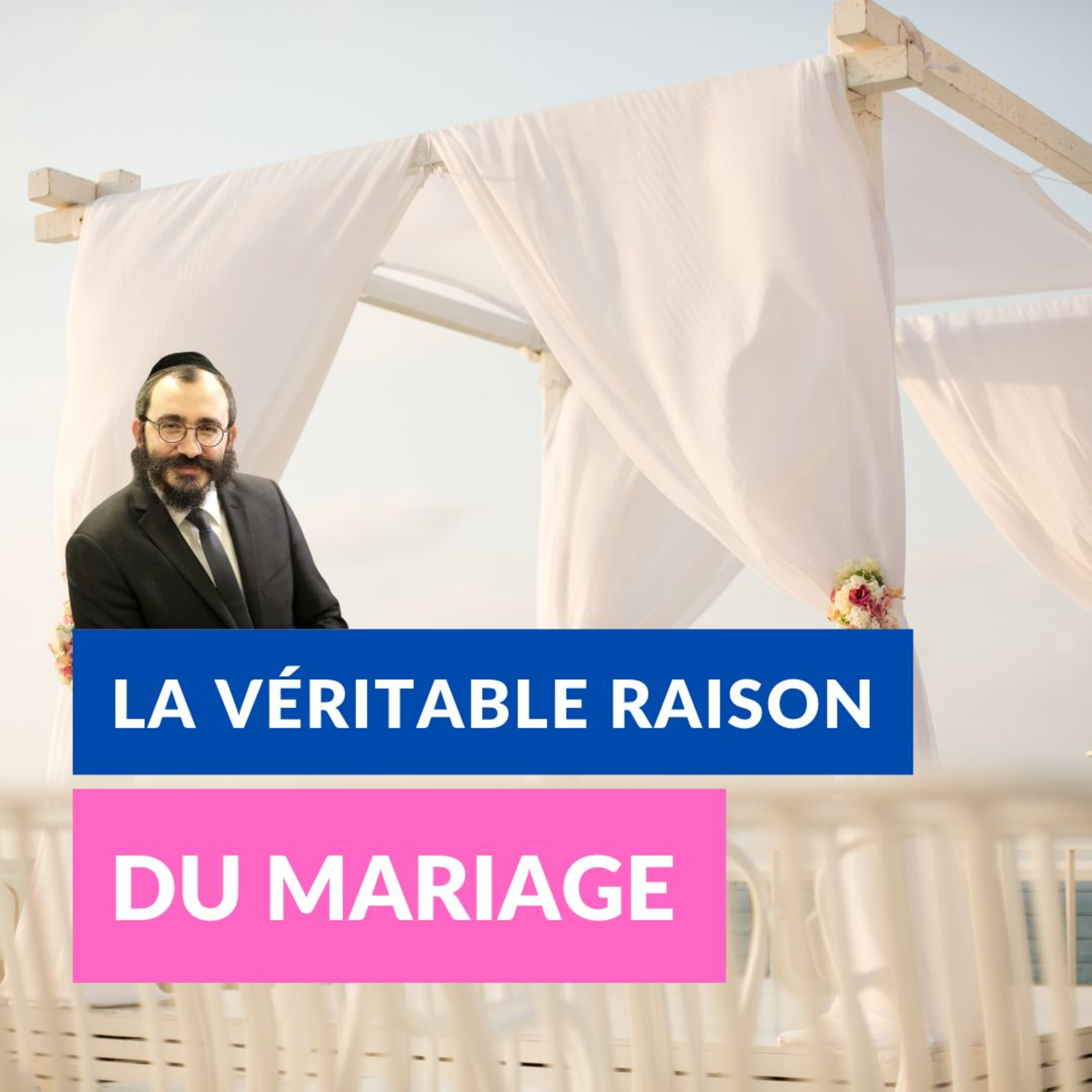 La véritable raison du mariage episode artwork
