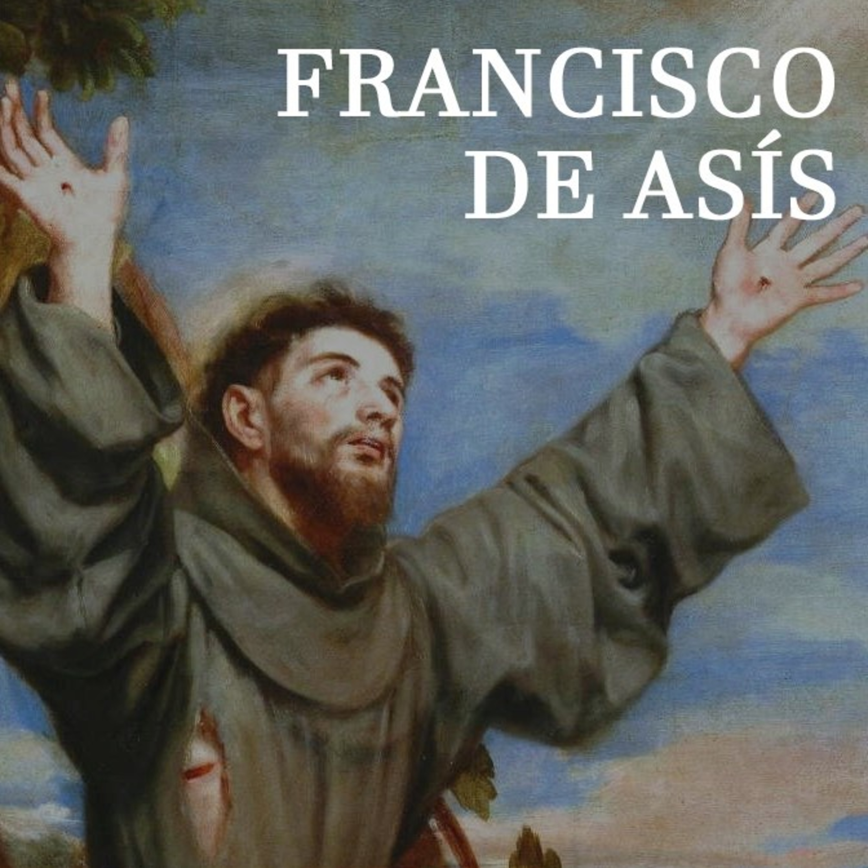 San Francisco de Asis episode artwork