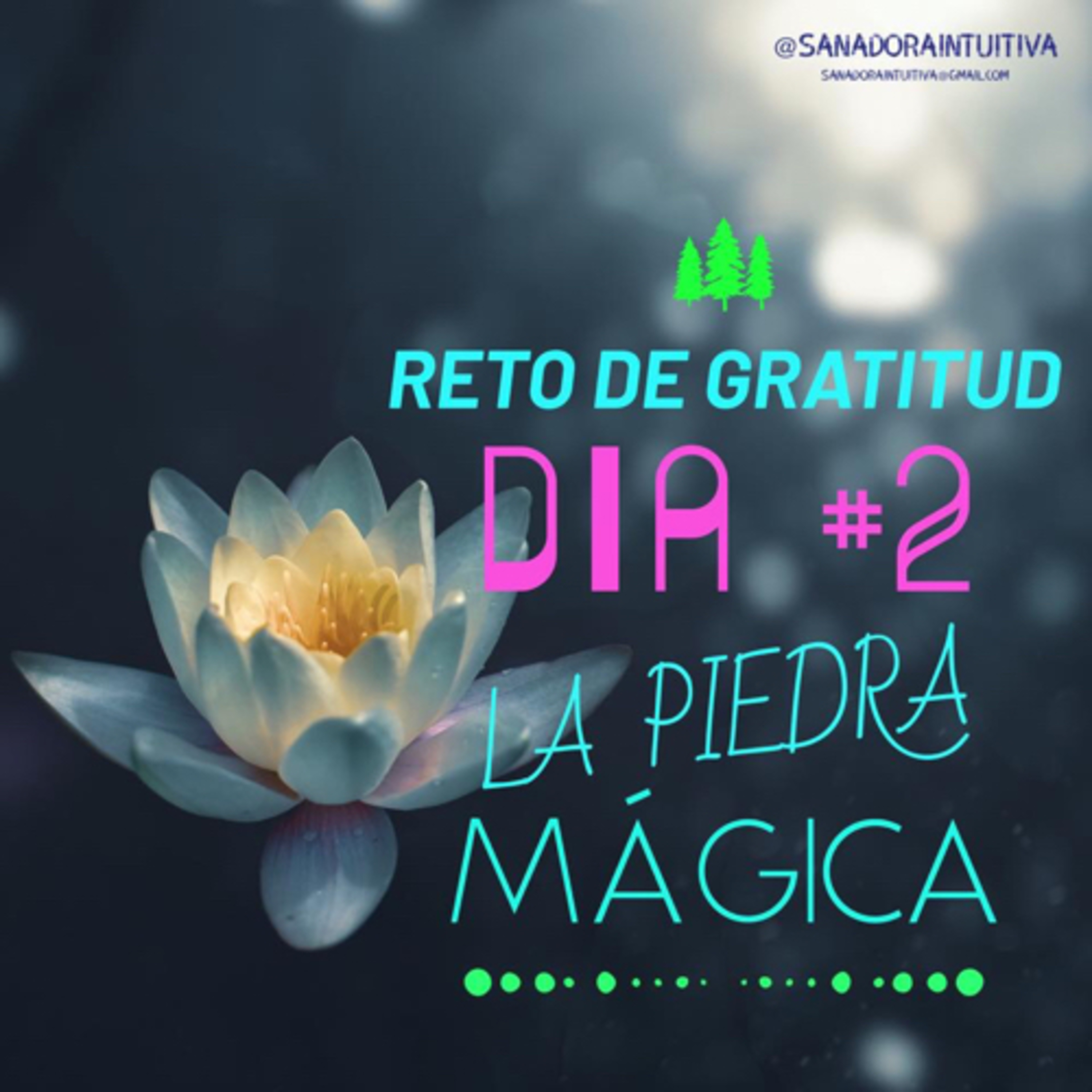 Sanadora Intuitiva