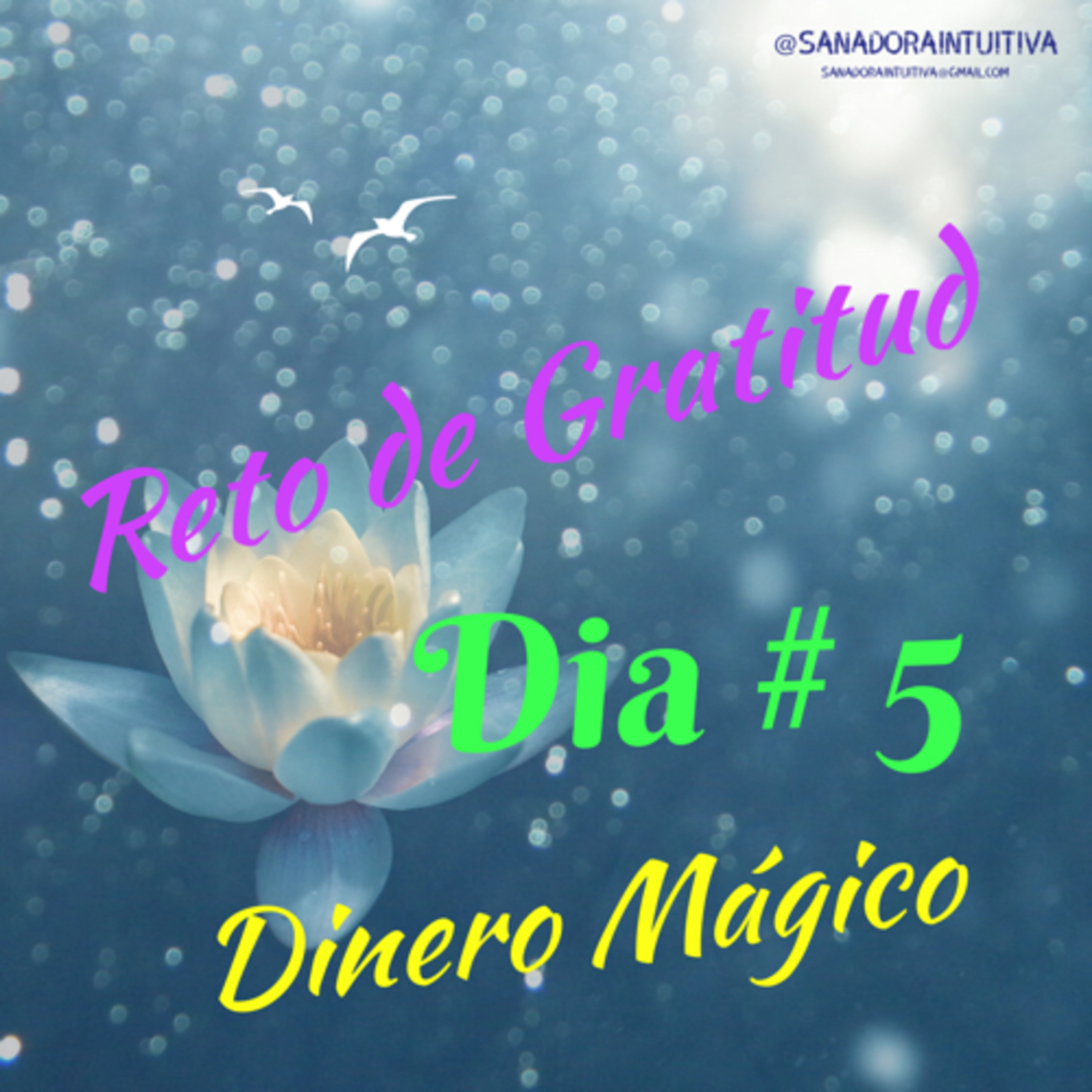 Sanadora Intuitiva