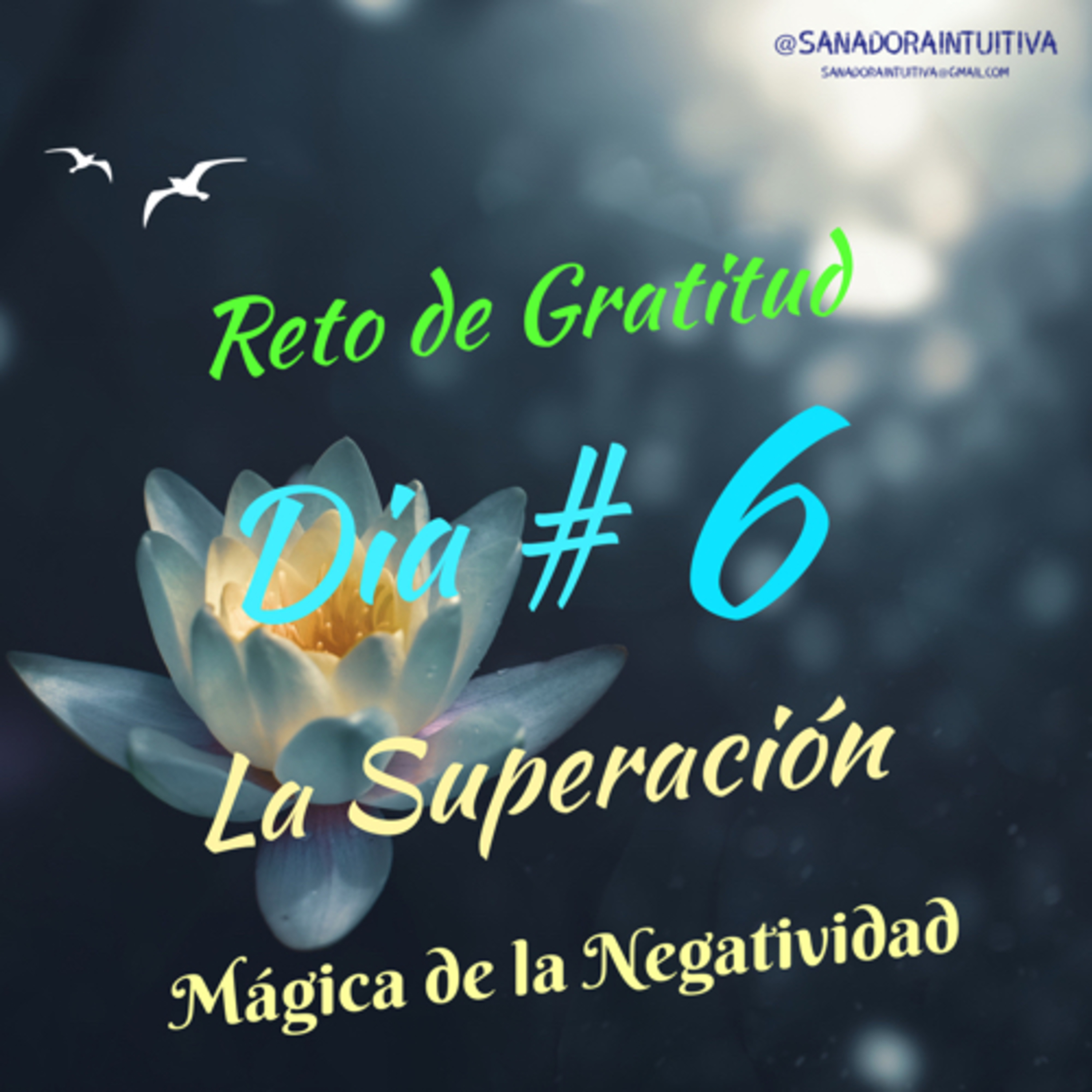 Sanadora Intuitiva