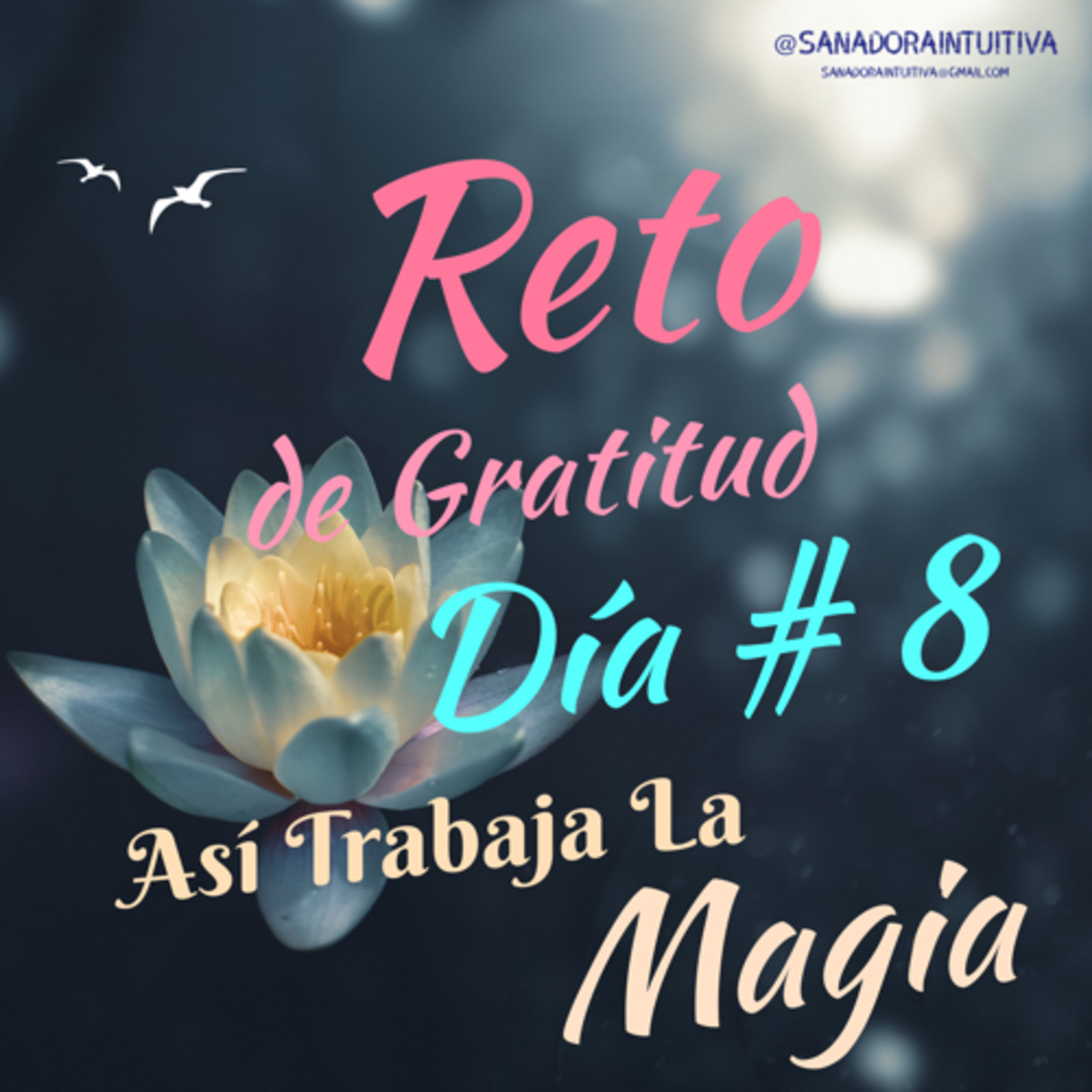 Sanadora Intuitiva