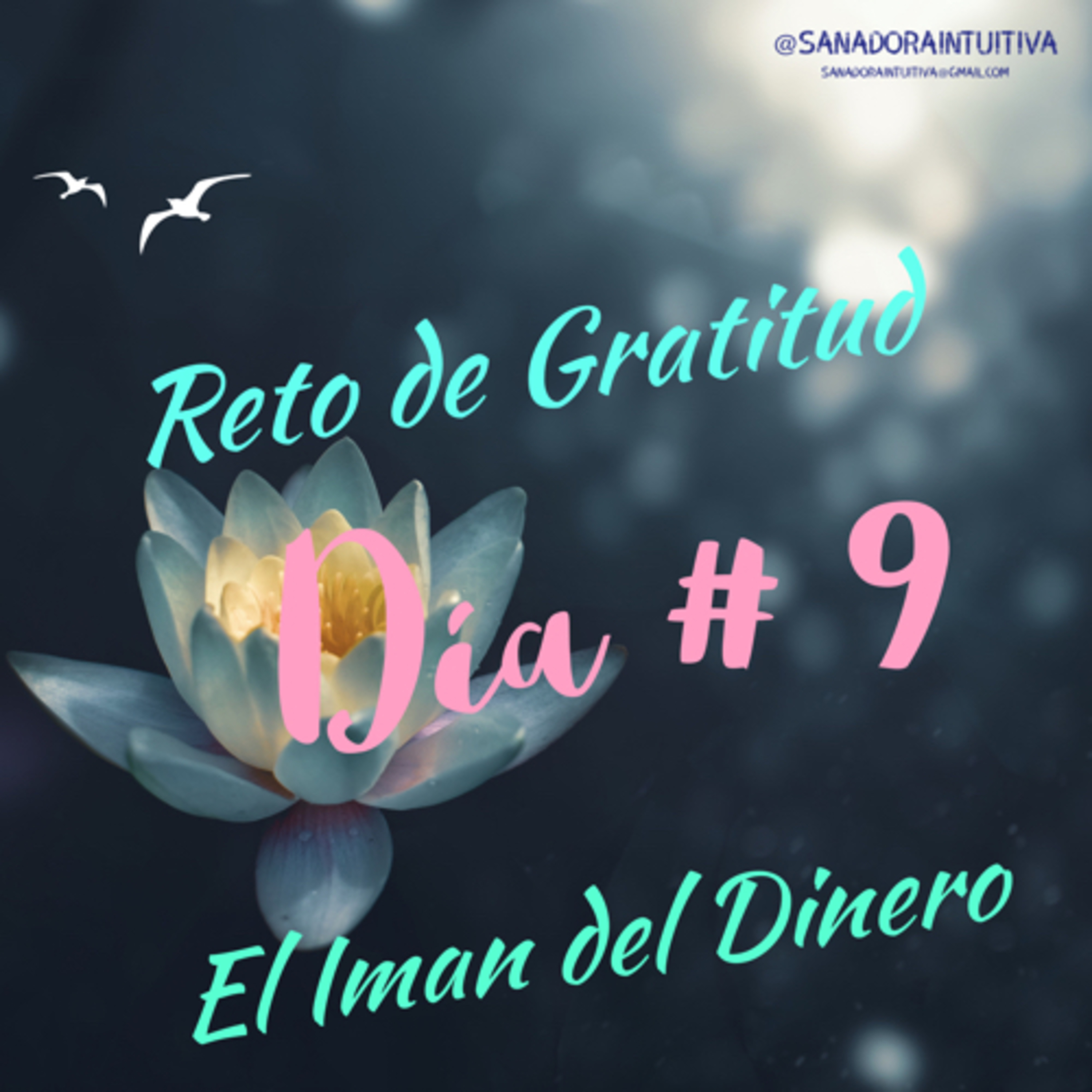 Sanadora Intuitiva