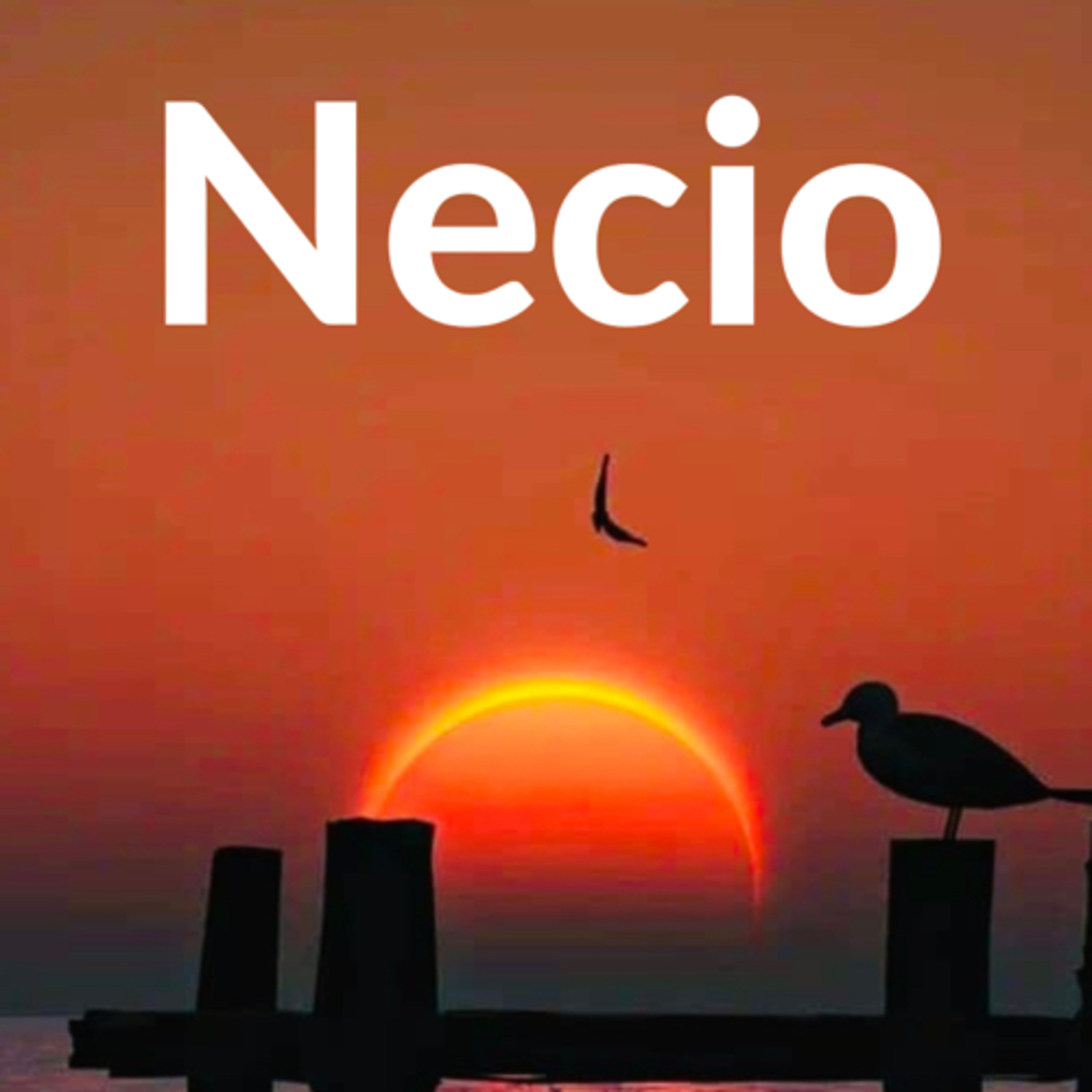 Impulsó Con Montano